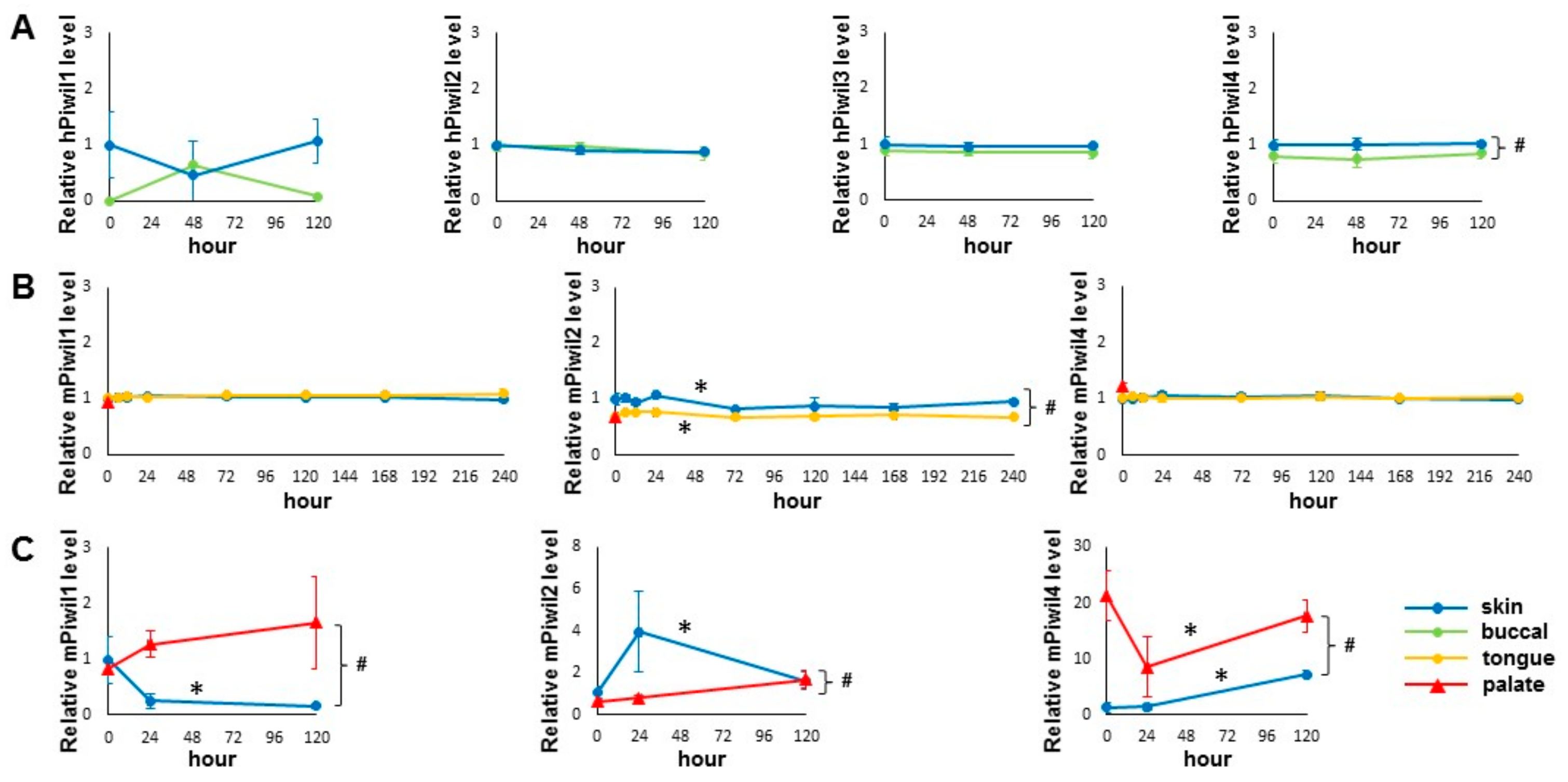 Ijms 21 00521 g001 Ijms 21 00521 g001