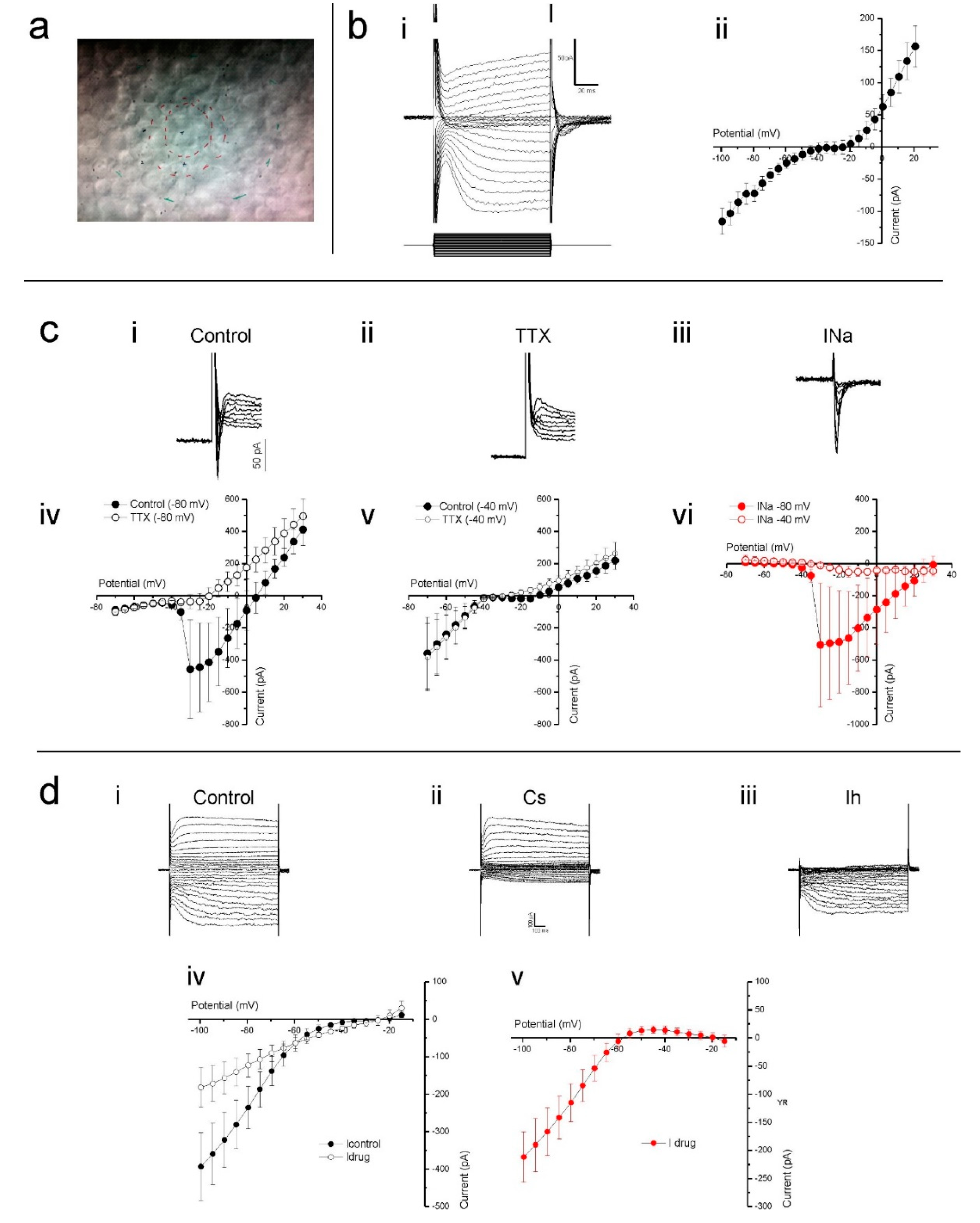 Ijms 21 00522 g003 Ijms 21 00522 g003