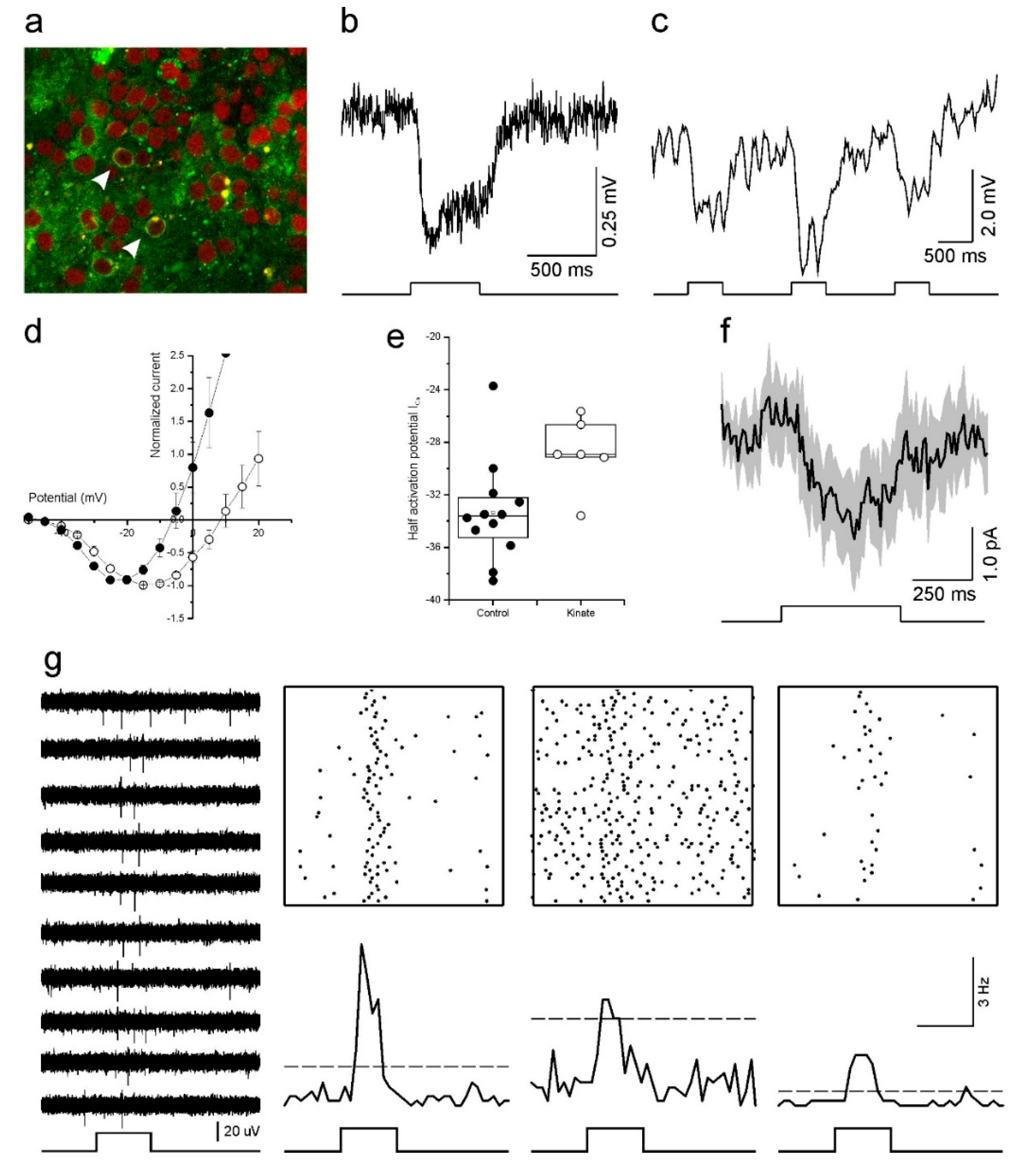 Ijms 21 00522 g005 Ijms 21 00522 g005