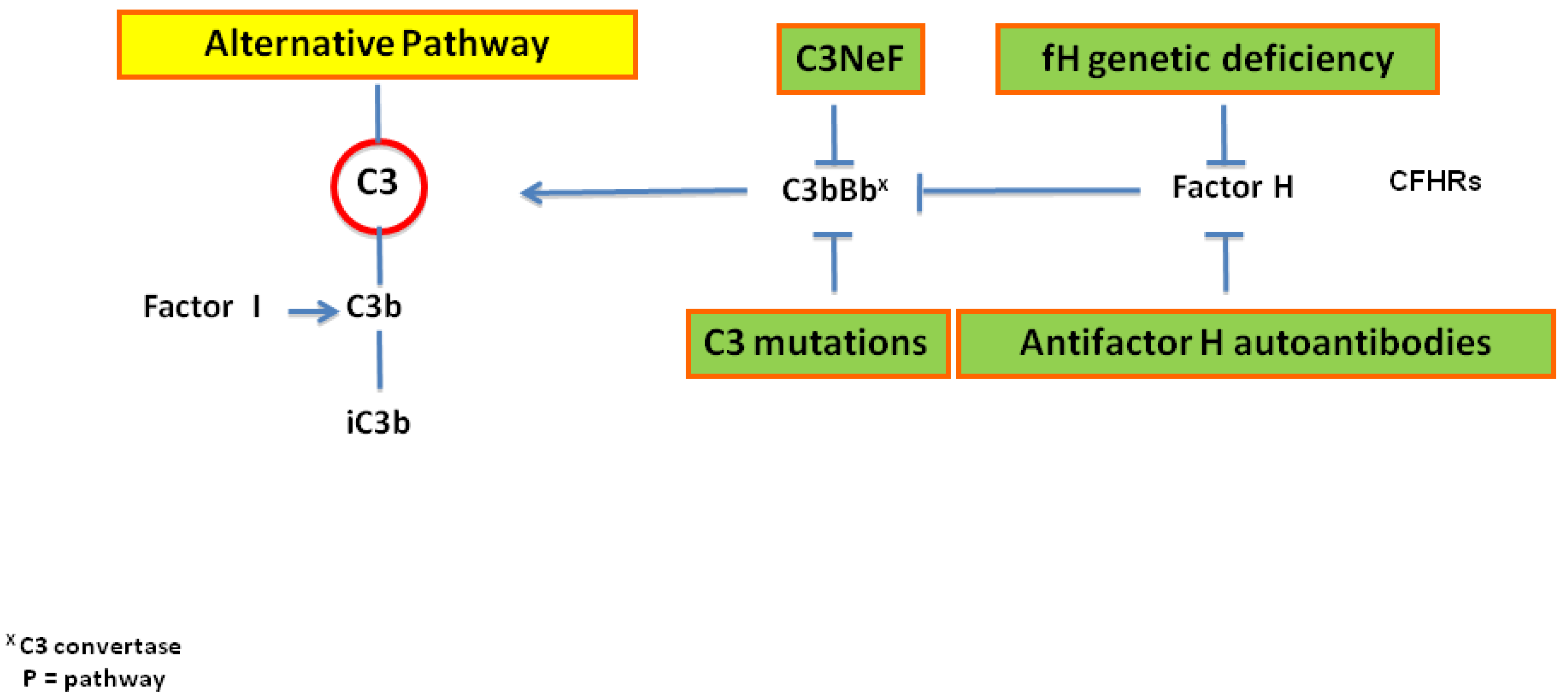 Ijms 21 00525 g003 Ijms 21 00525 g003