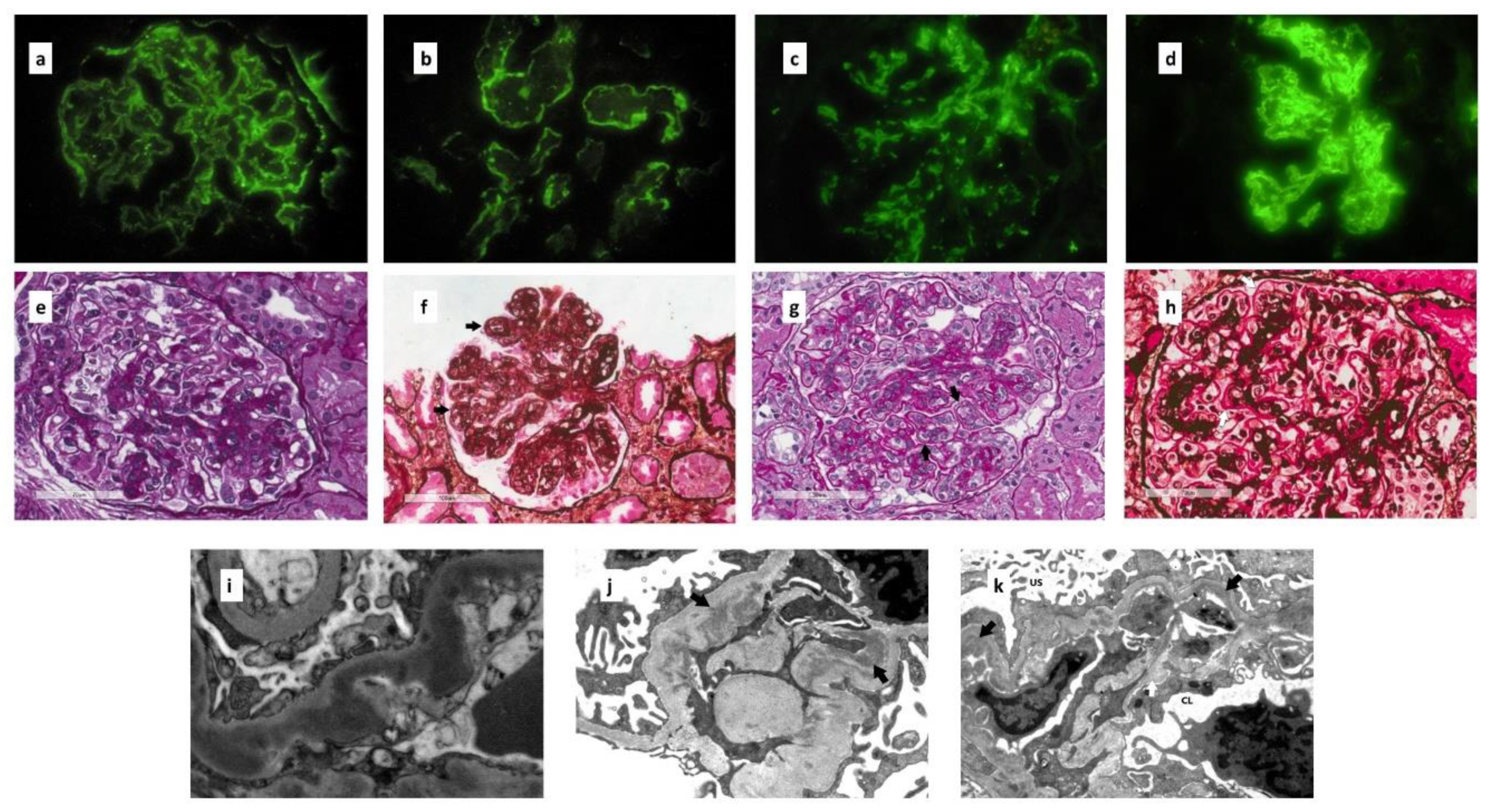 Ijms 21 00525 g004 Ijms 21 00525 g004