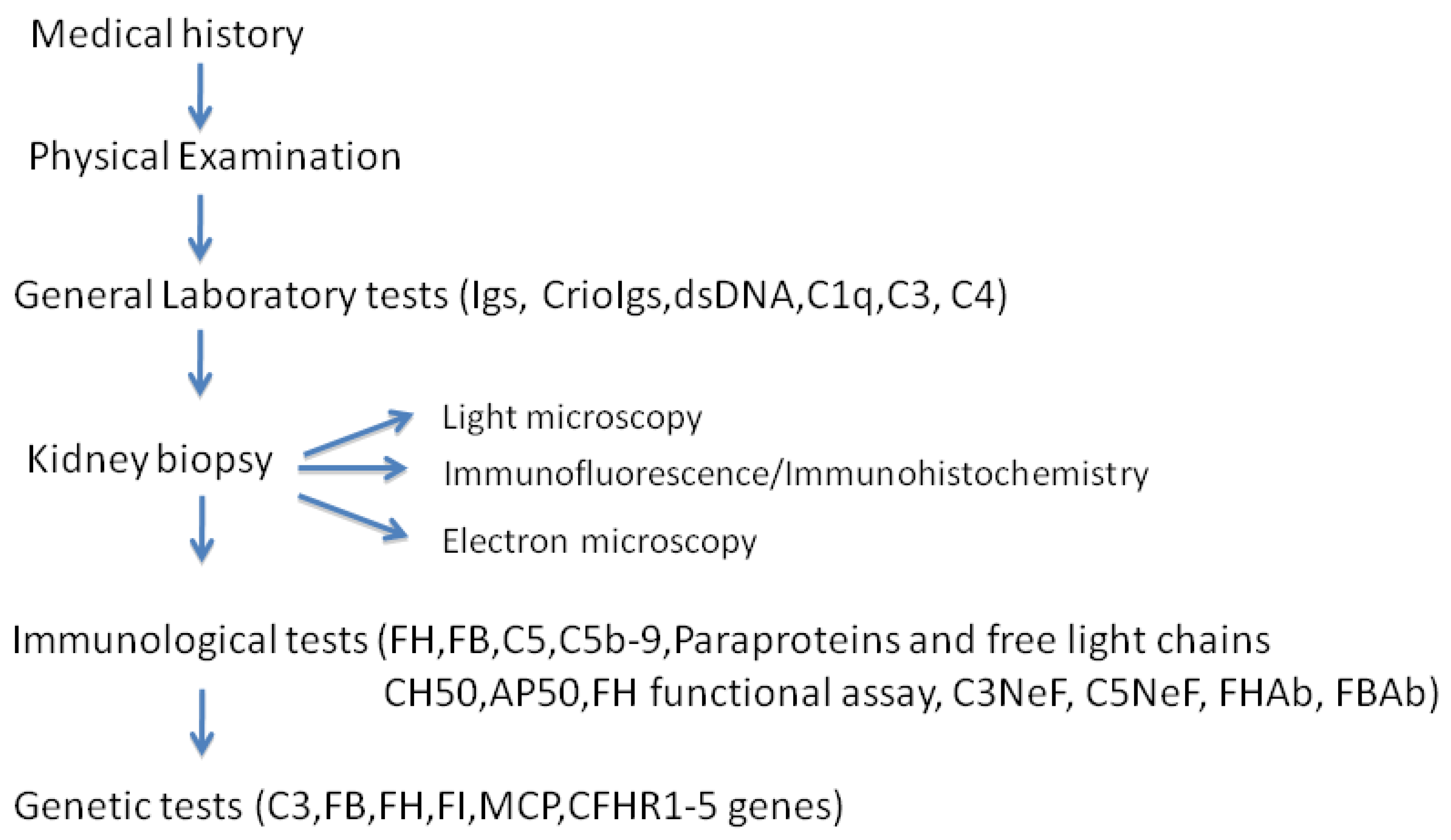 Ijms 21 00525 g005 Ijms 21 00525 g005