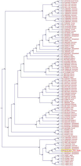 PreS1 Mutations Alter the Large HBsAg Antigenicity of a Hepatitis B ...