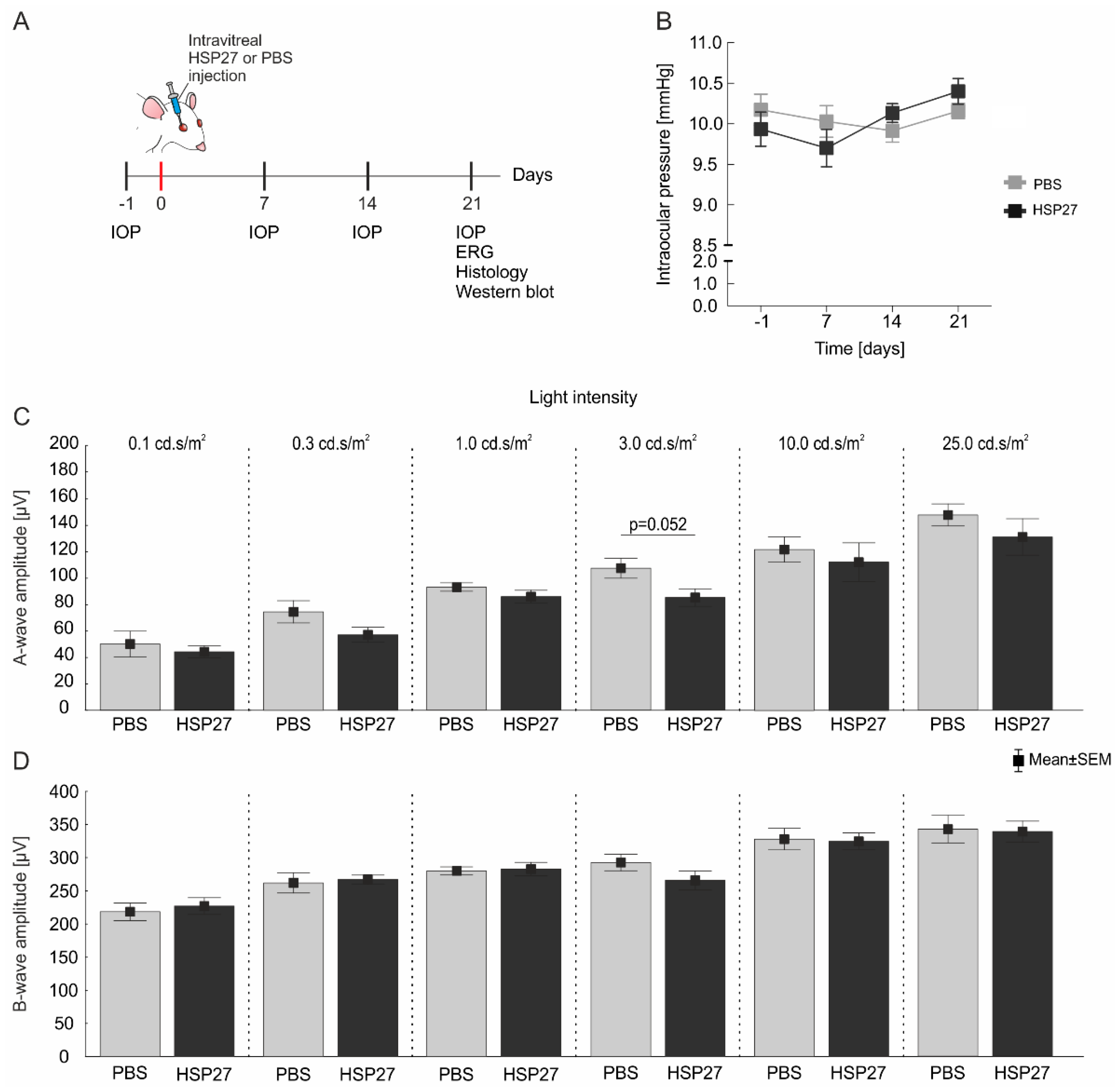 Ijms 21 00549 g001 Ijms 21 00549 g001