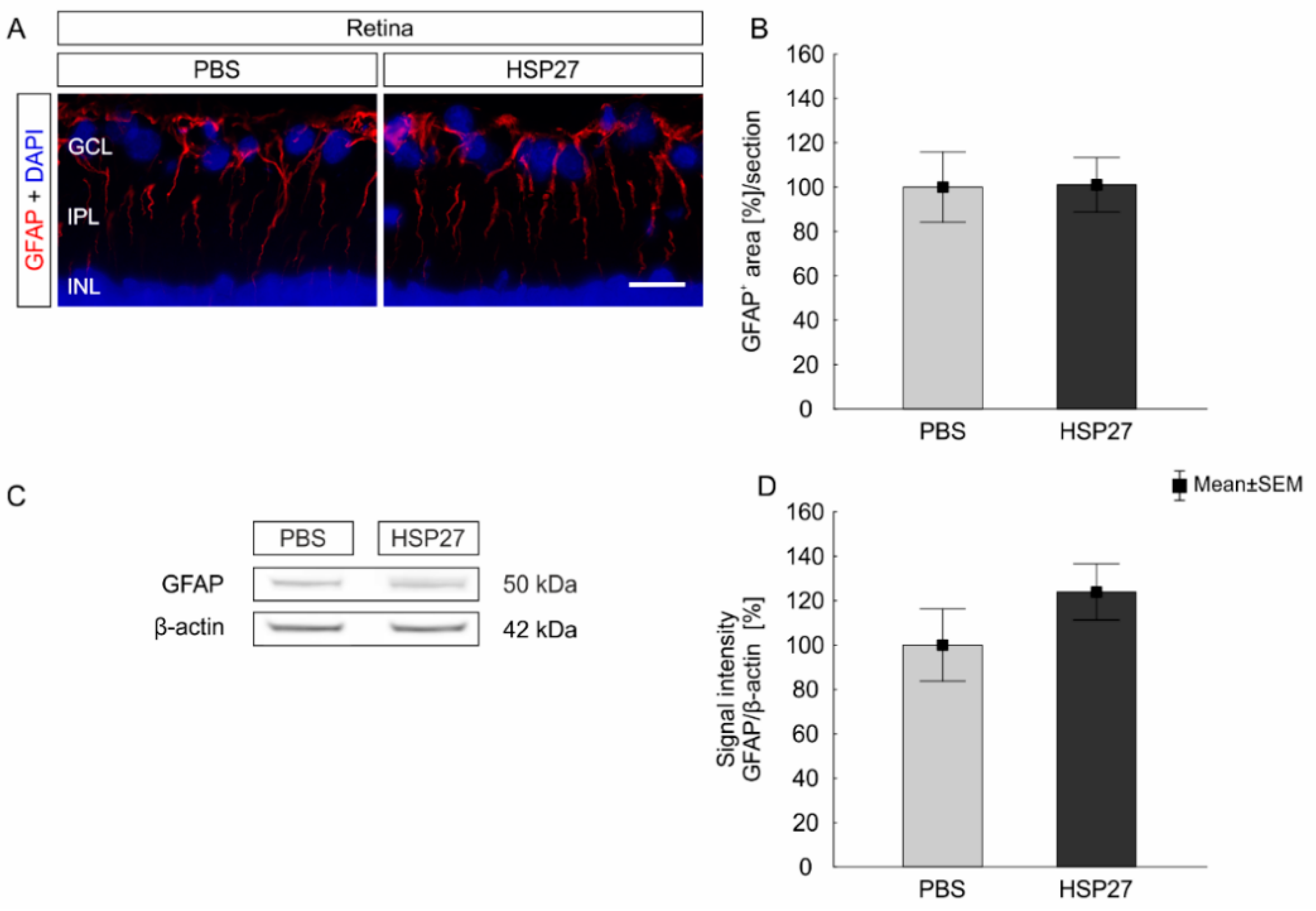 Ijms 21 00549 g006 Ijms 21 00549 g006