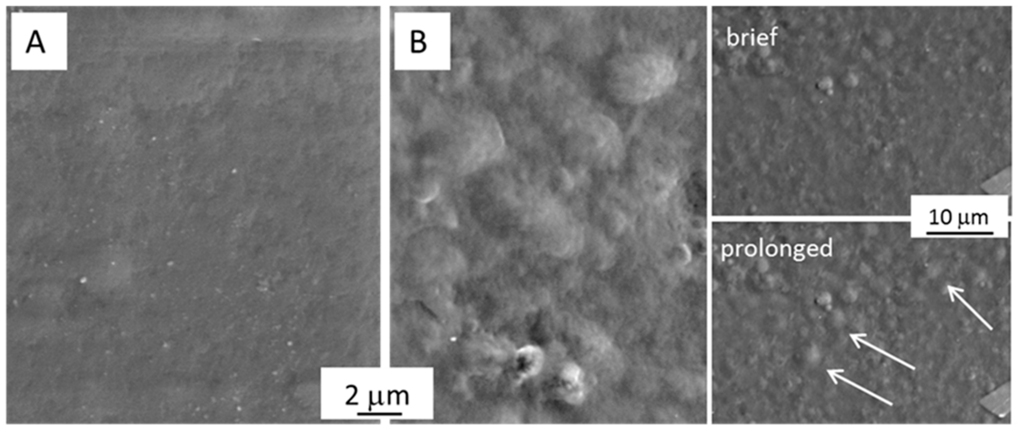 Ijms 21 00550 g001 Ijms 21 00550 g001