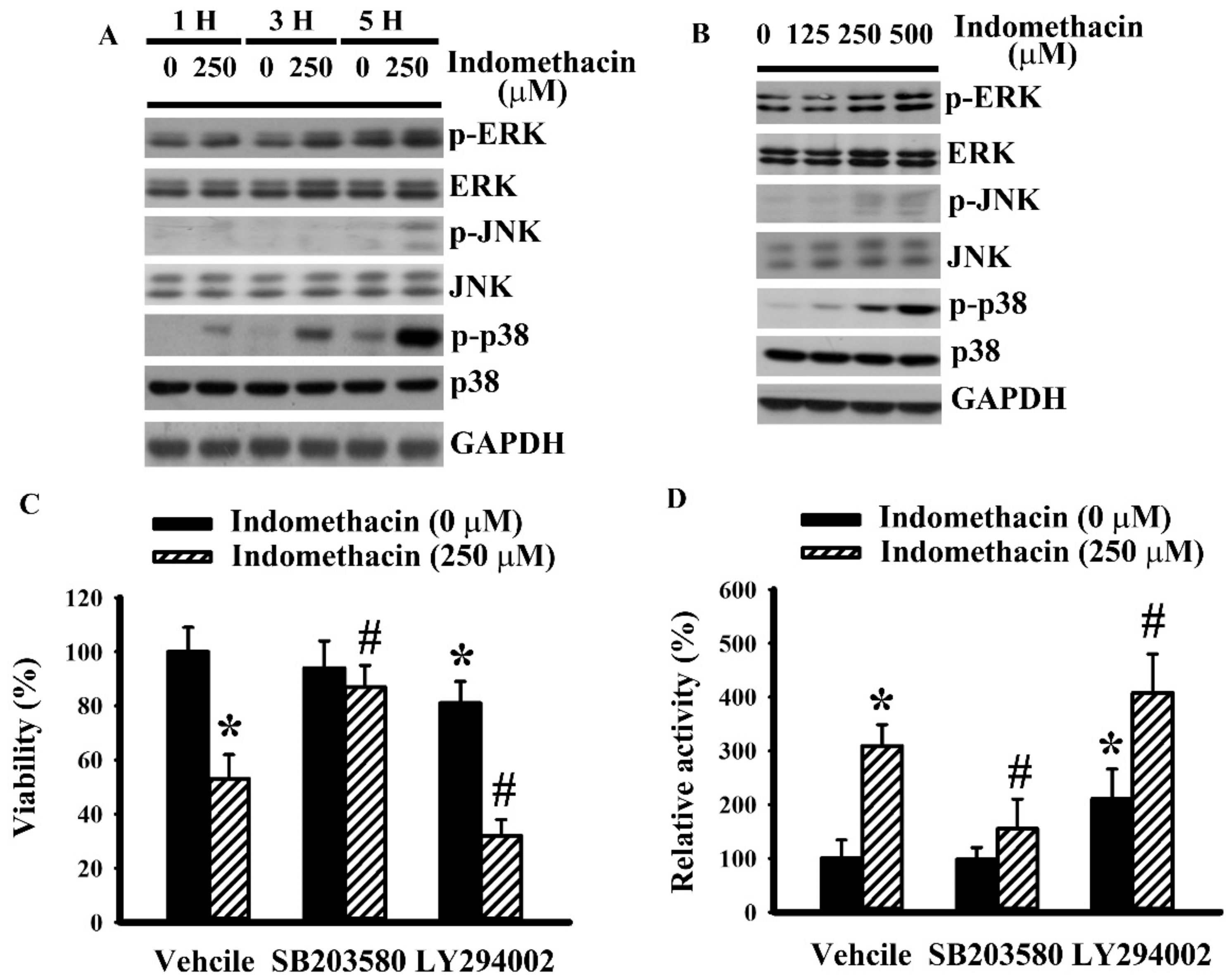 Ijms 21 00557 g002 Ijms 21 00557 g002