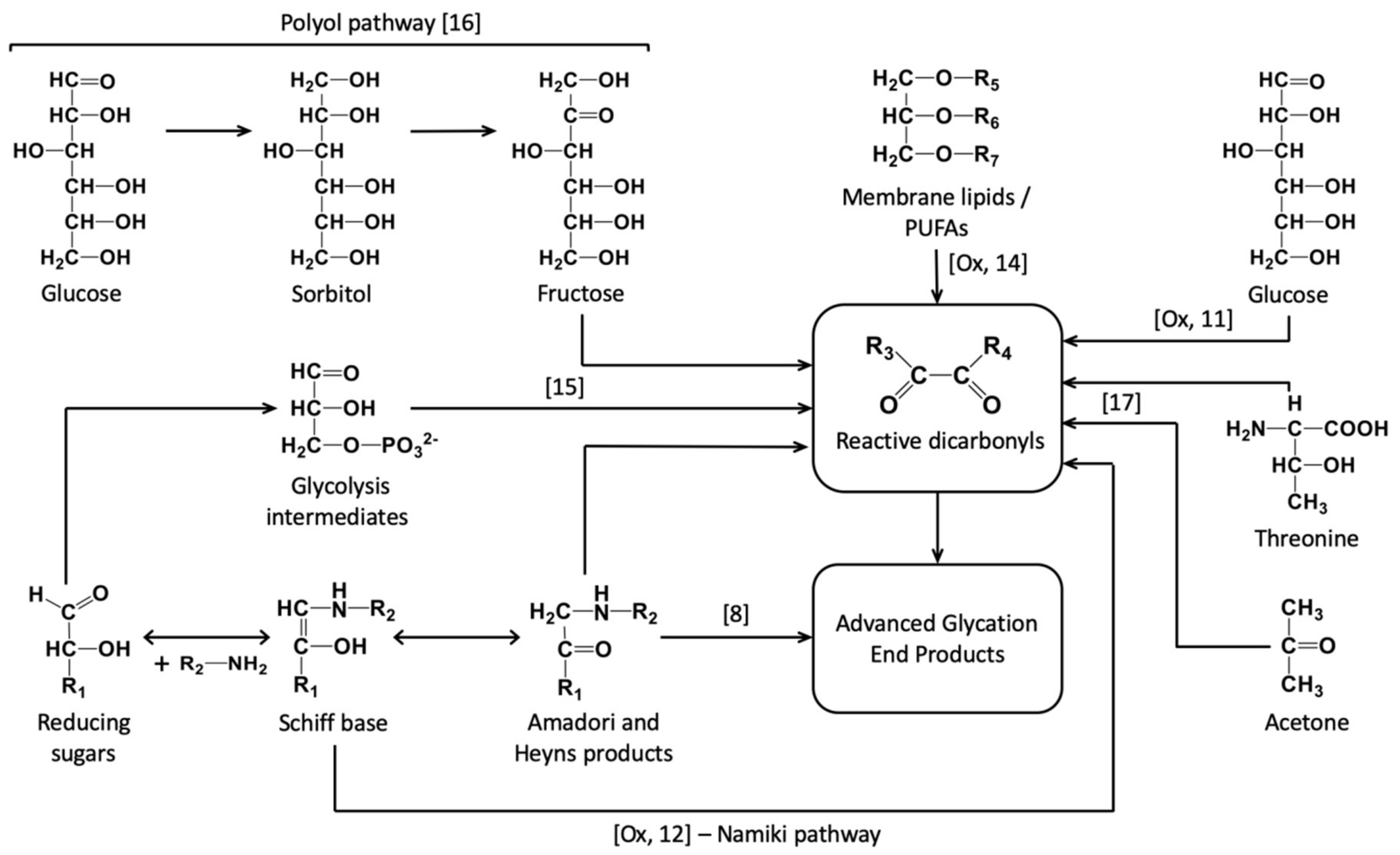 Ijms 21 00567 g001 Ijms 21 00567 g001