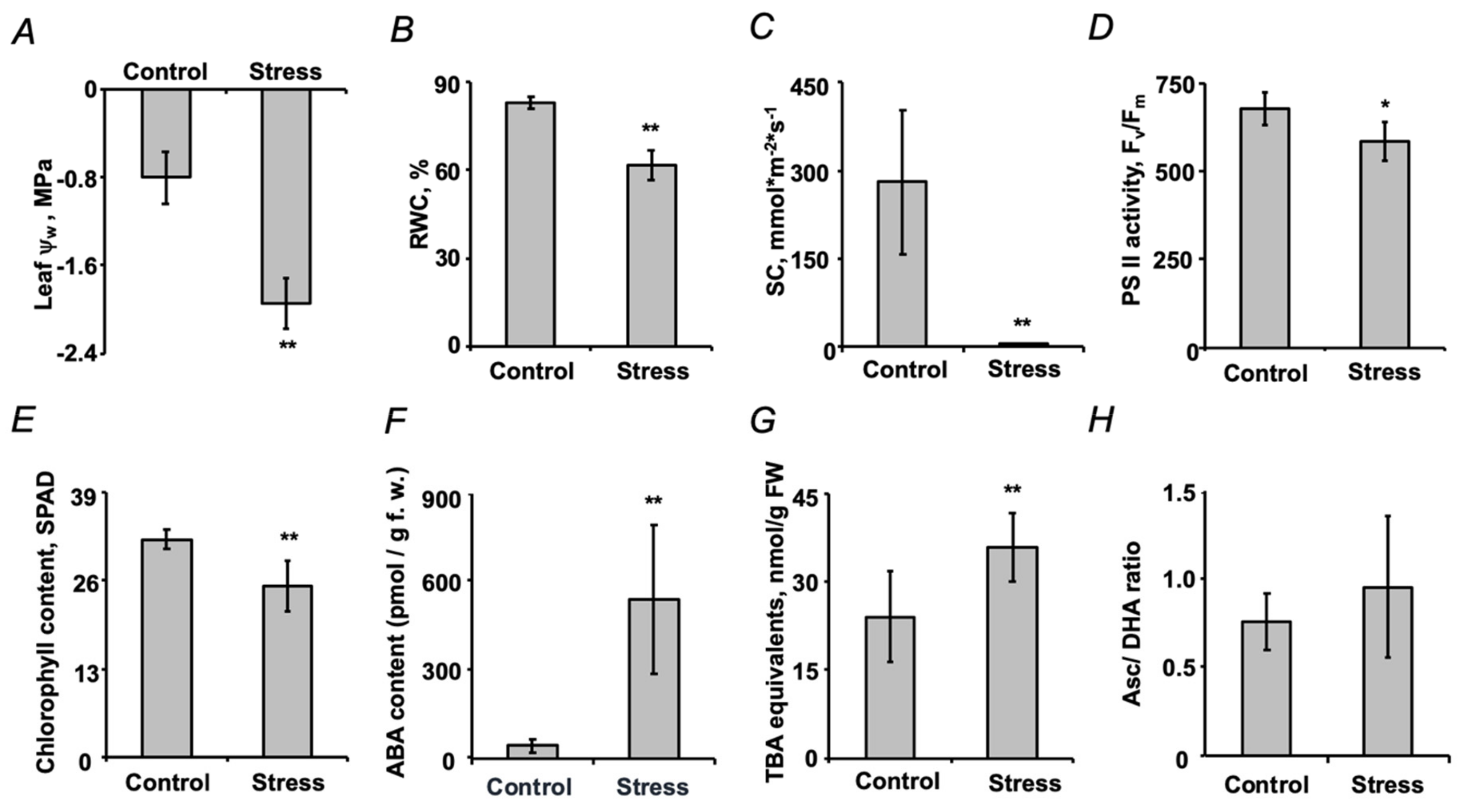 Ijms 21 00567 g003 Ijms 21 00567 g003