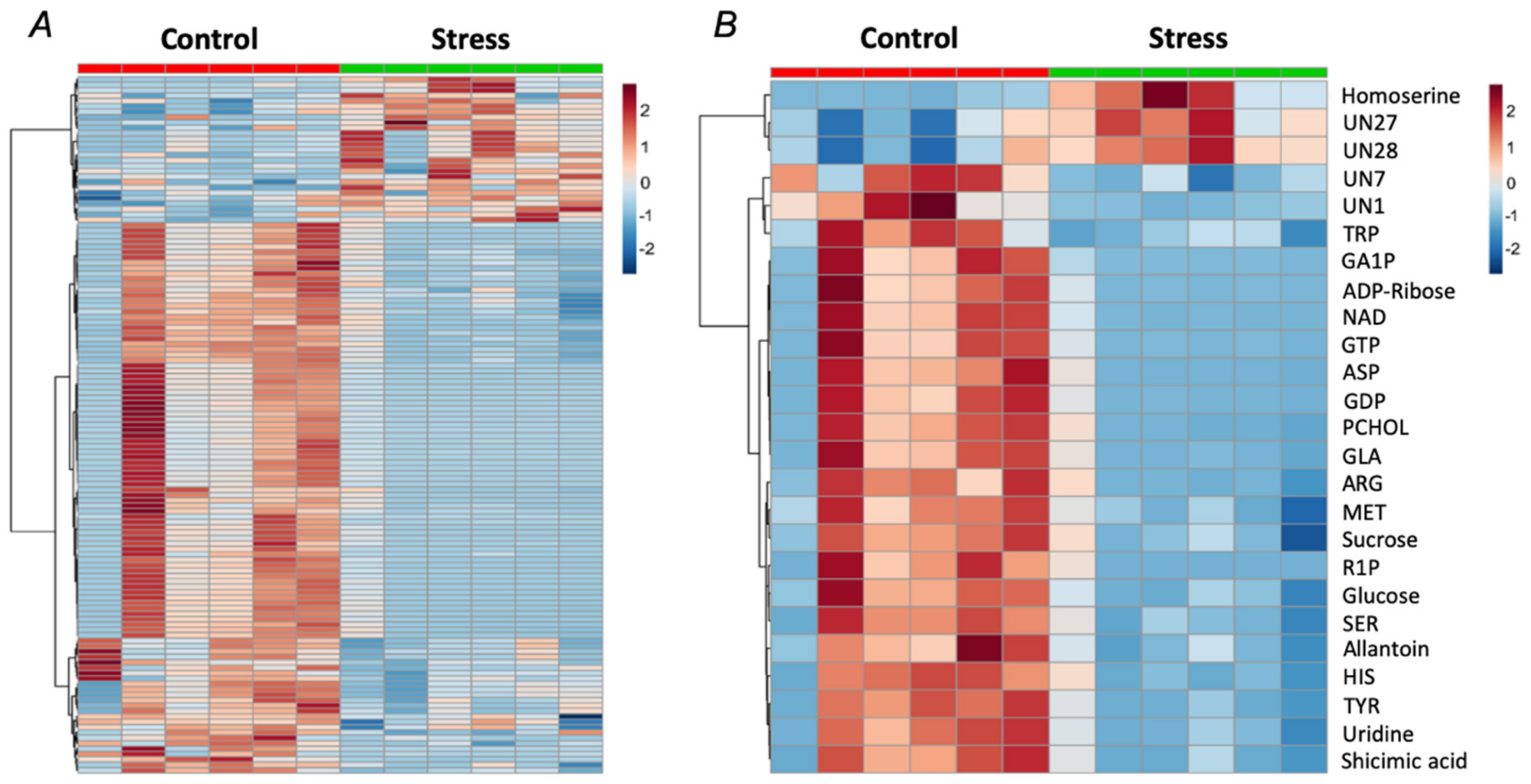 Ijms 21 00567 g005 Ijms 21 00567 g005