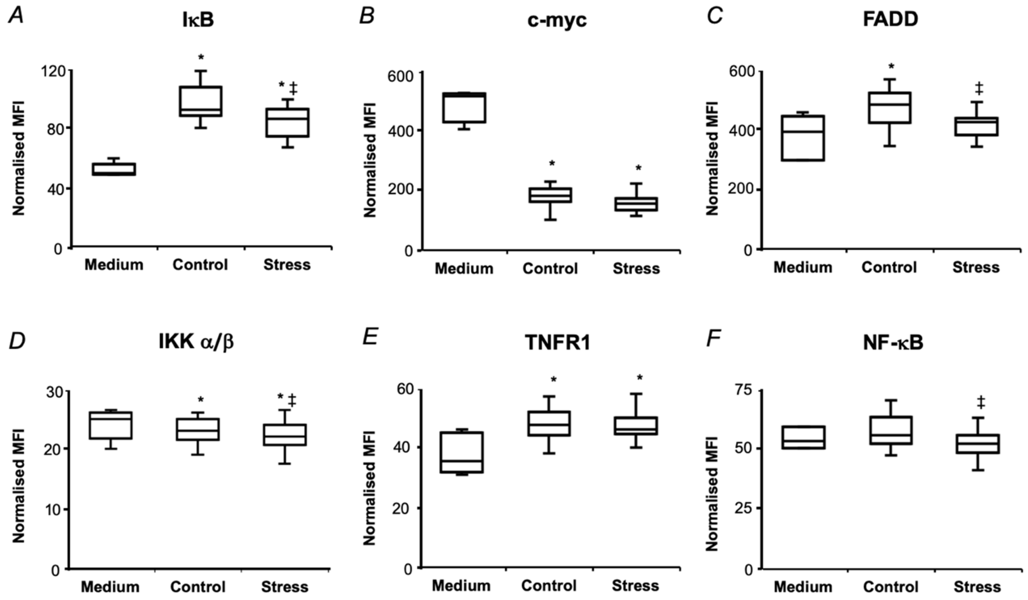 Ijms 21 00567 g007 Ijms 21 00567 g007