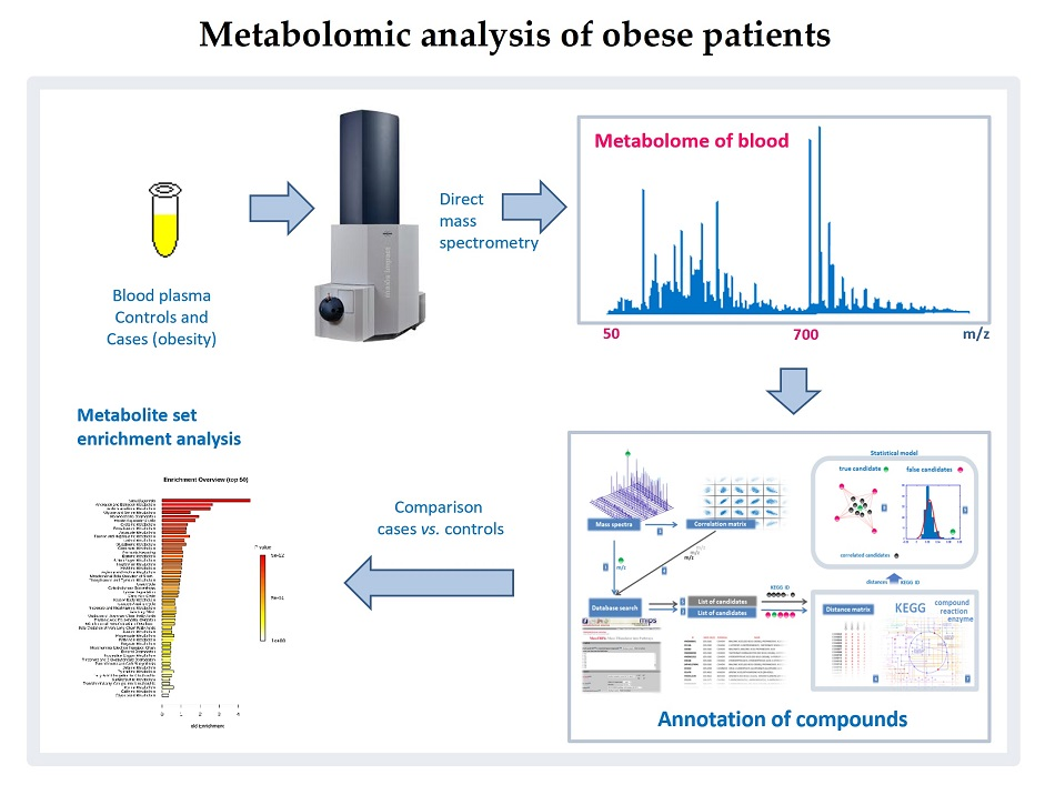 IJMS | Free Full-Text | Mass Spectrometry-Based Metabolomics Analysis ...