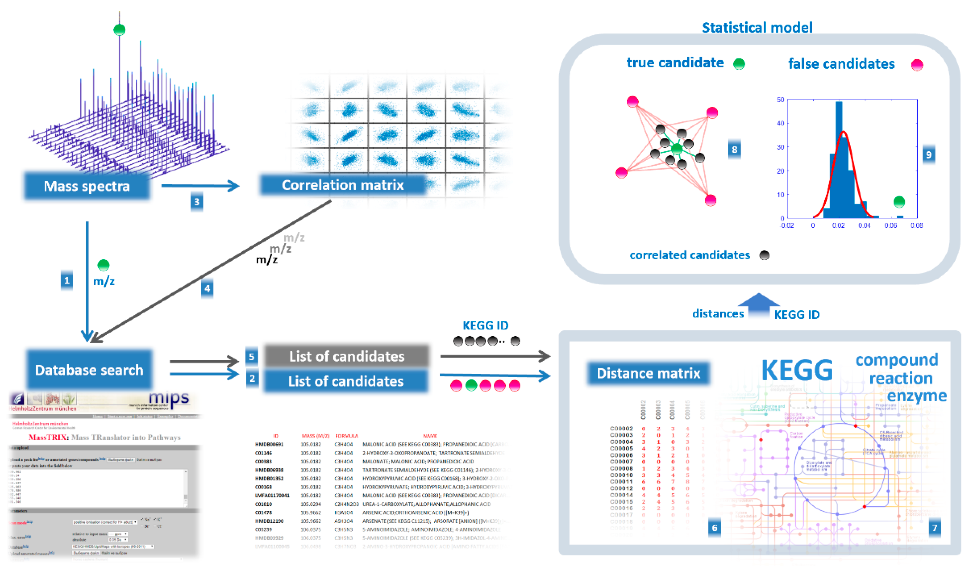 Ijms 21 00568 g005 Ijms 21 00568 g005