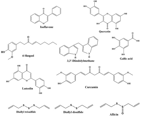 Phytochemicals for the Prevention and Treatment of Gastric Cancer