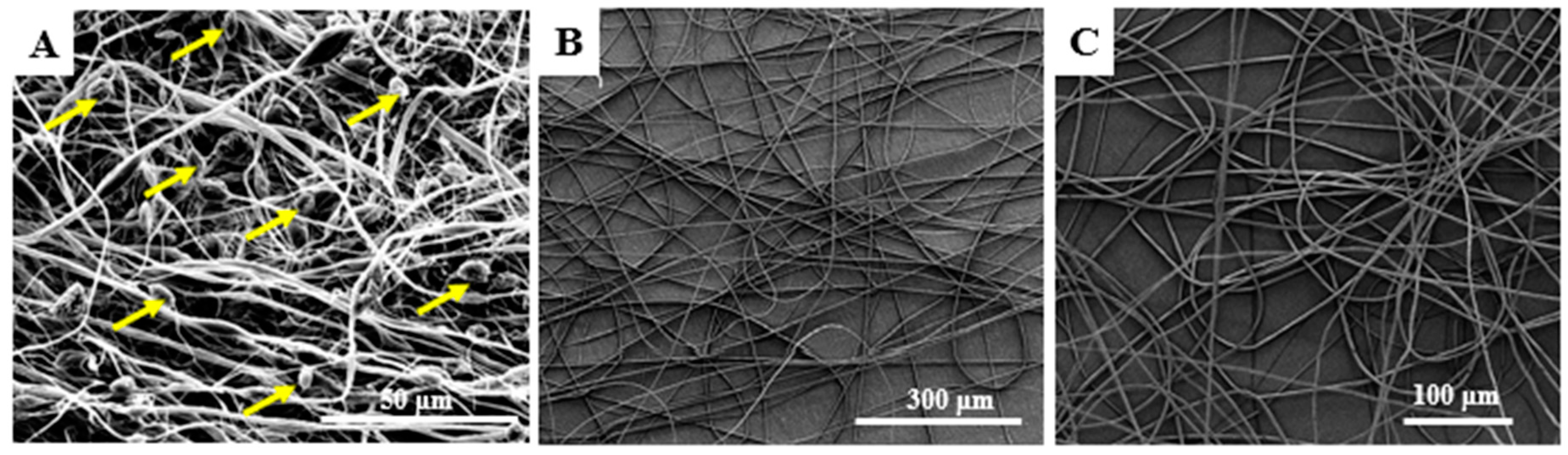 Ijms 21 00583 g001 Ijms 21 00583 g001