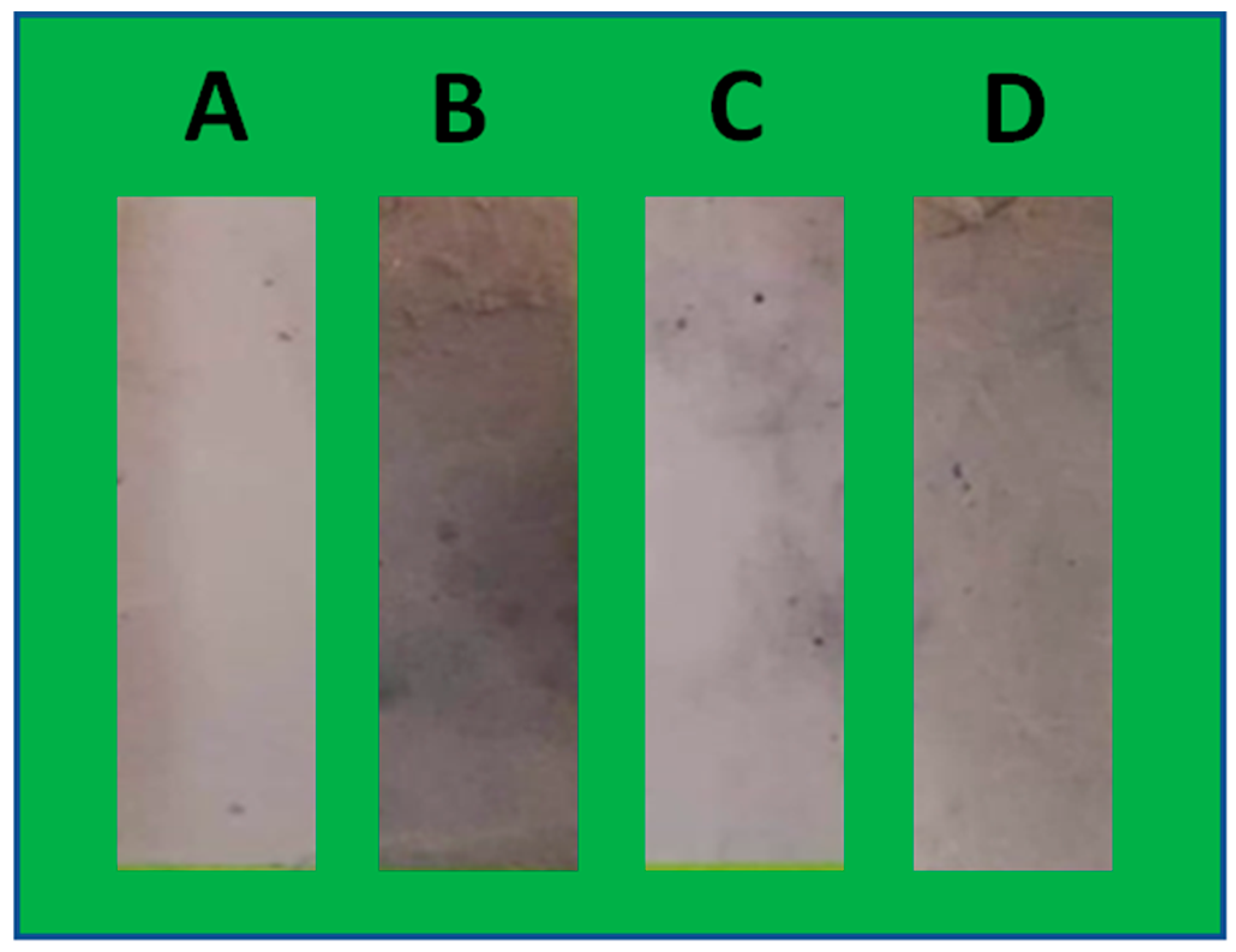 Ijms 21 00583 g002 Ijms 21 00583 g002