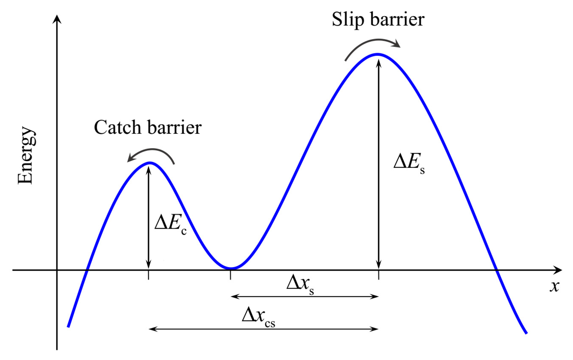 Ijms 21 00584 g002 Ijms 21 00584 g002