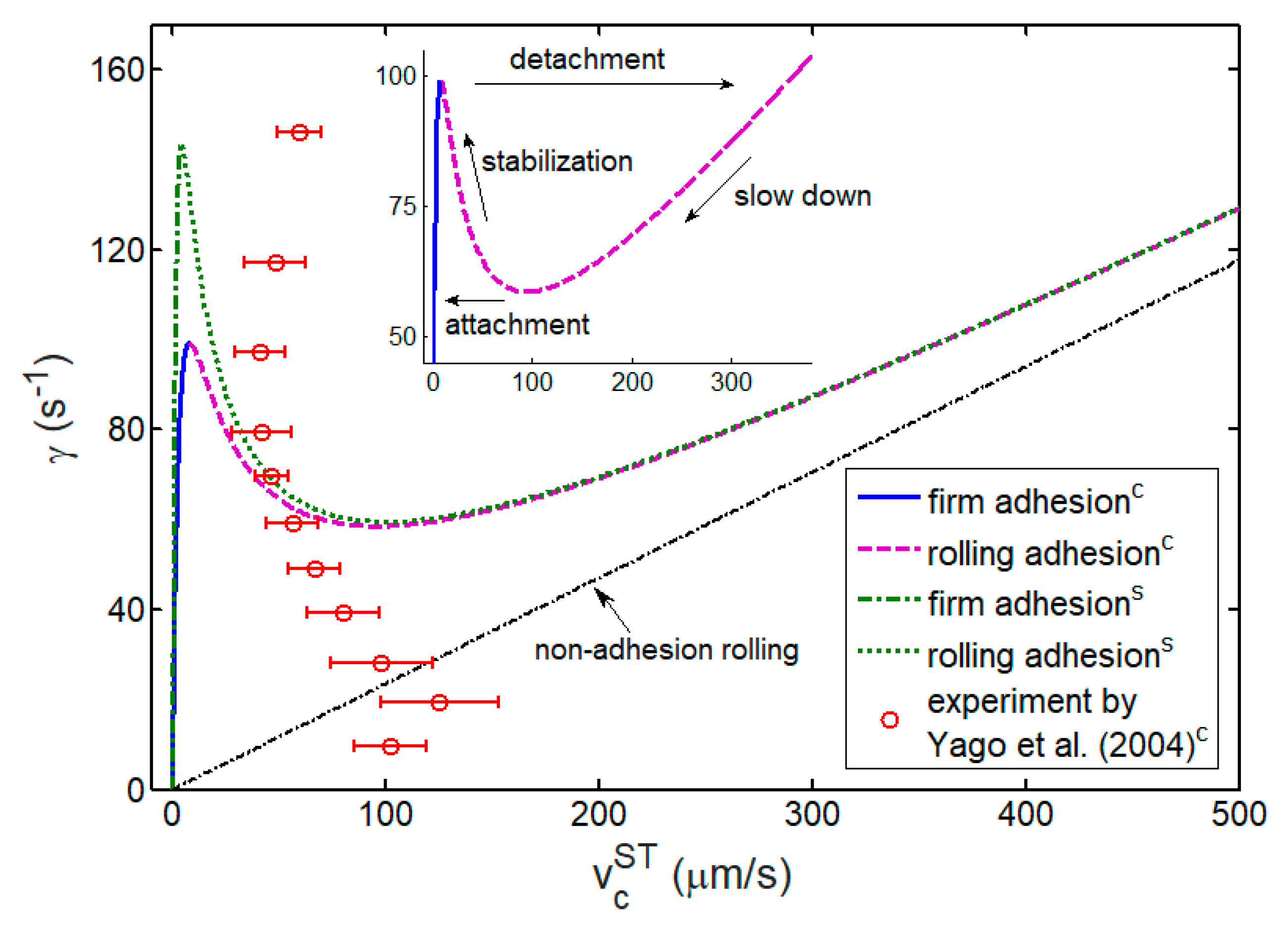 Ijms 21 00584 g009 Ijms 21 00584 g009