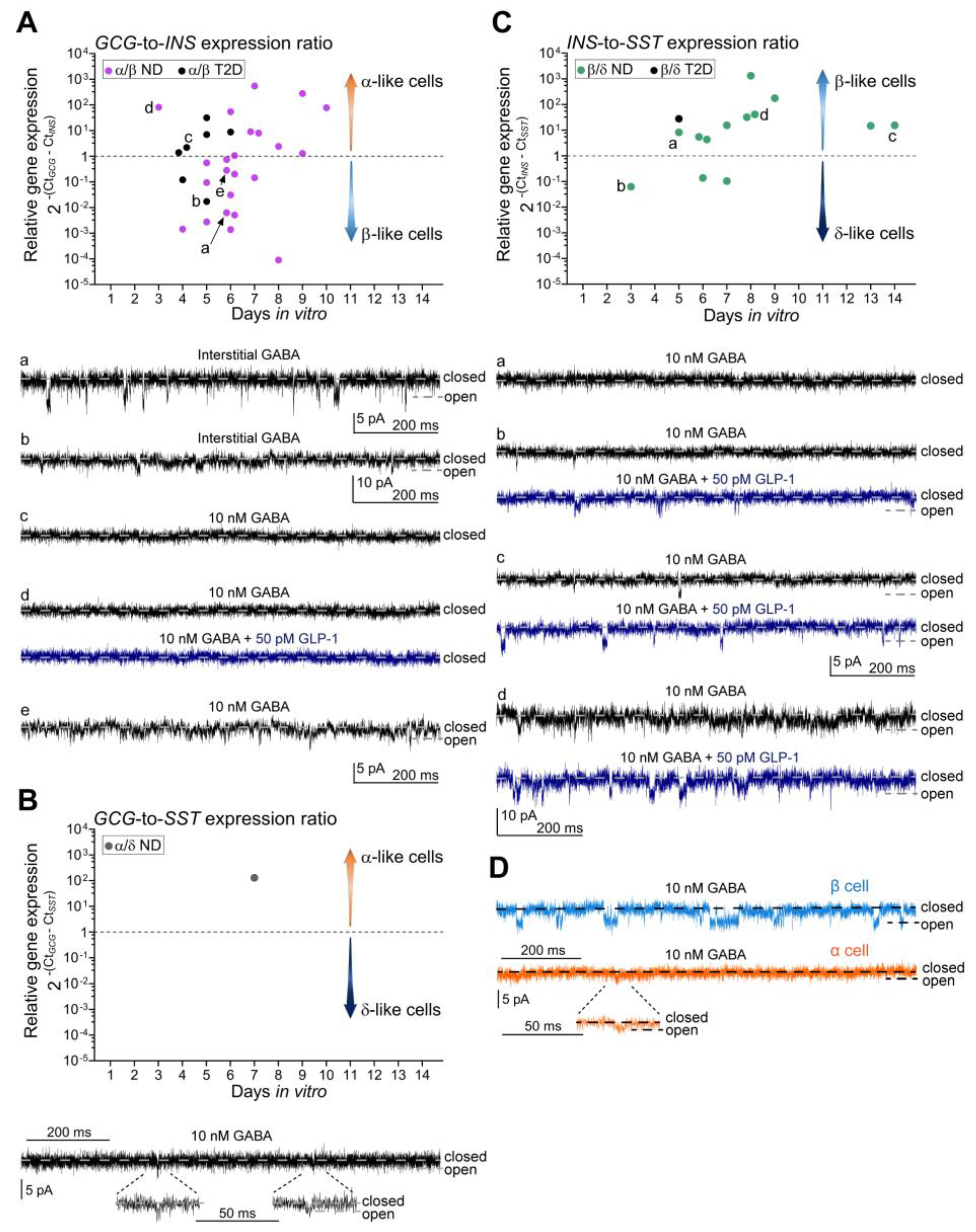 Ijms 21 00600 g002 Ijms 21 00600 g002