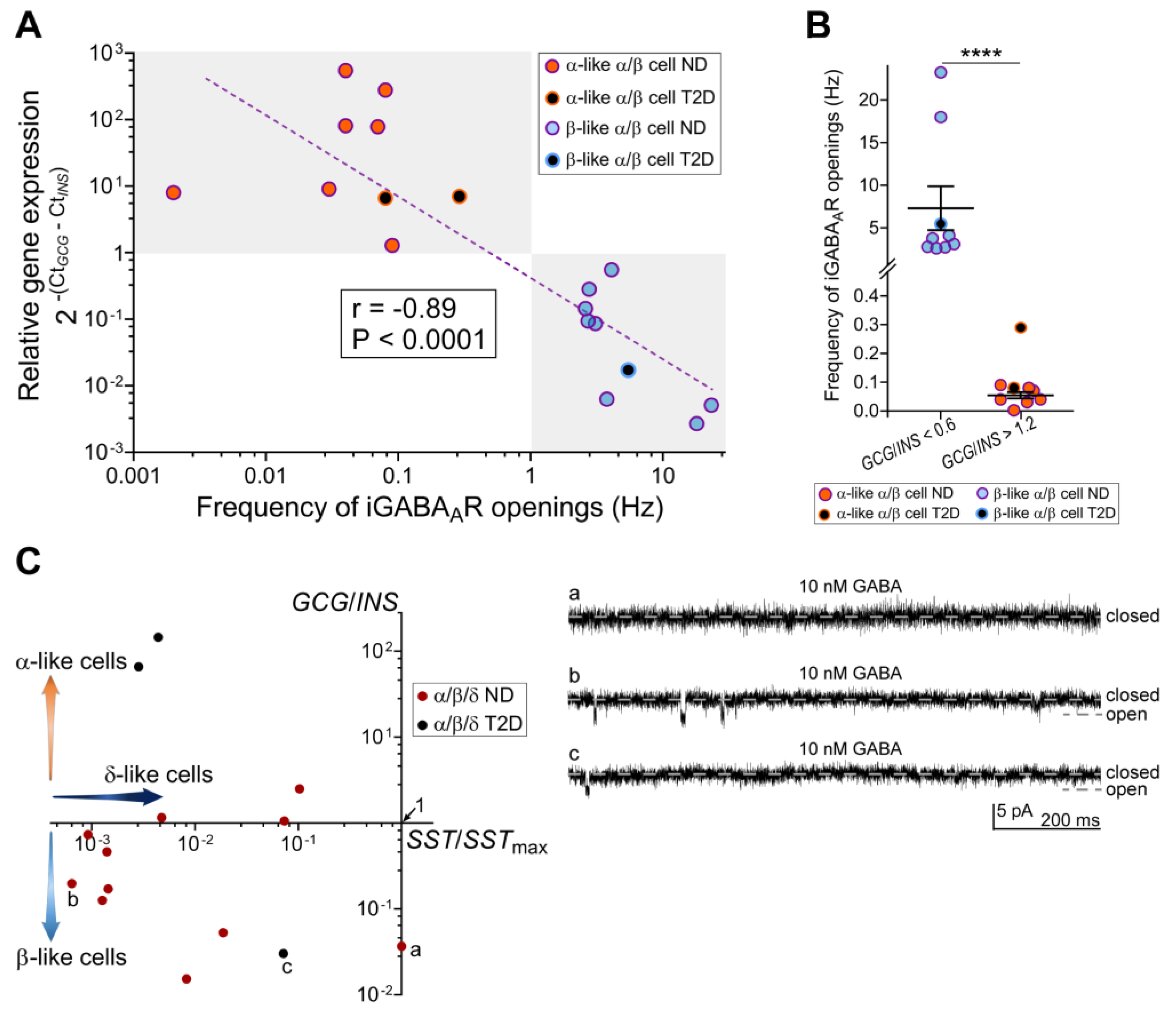 Ijms 21 00600 g003 Ijms 21 00600 g003