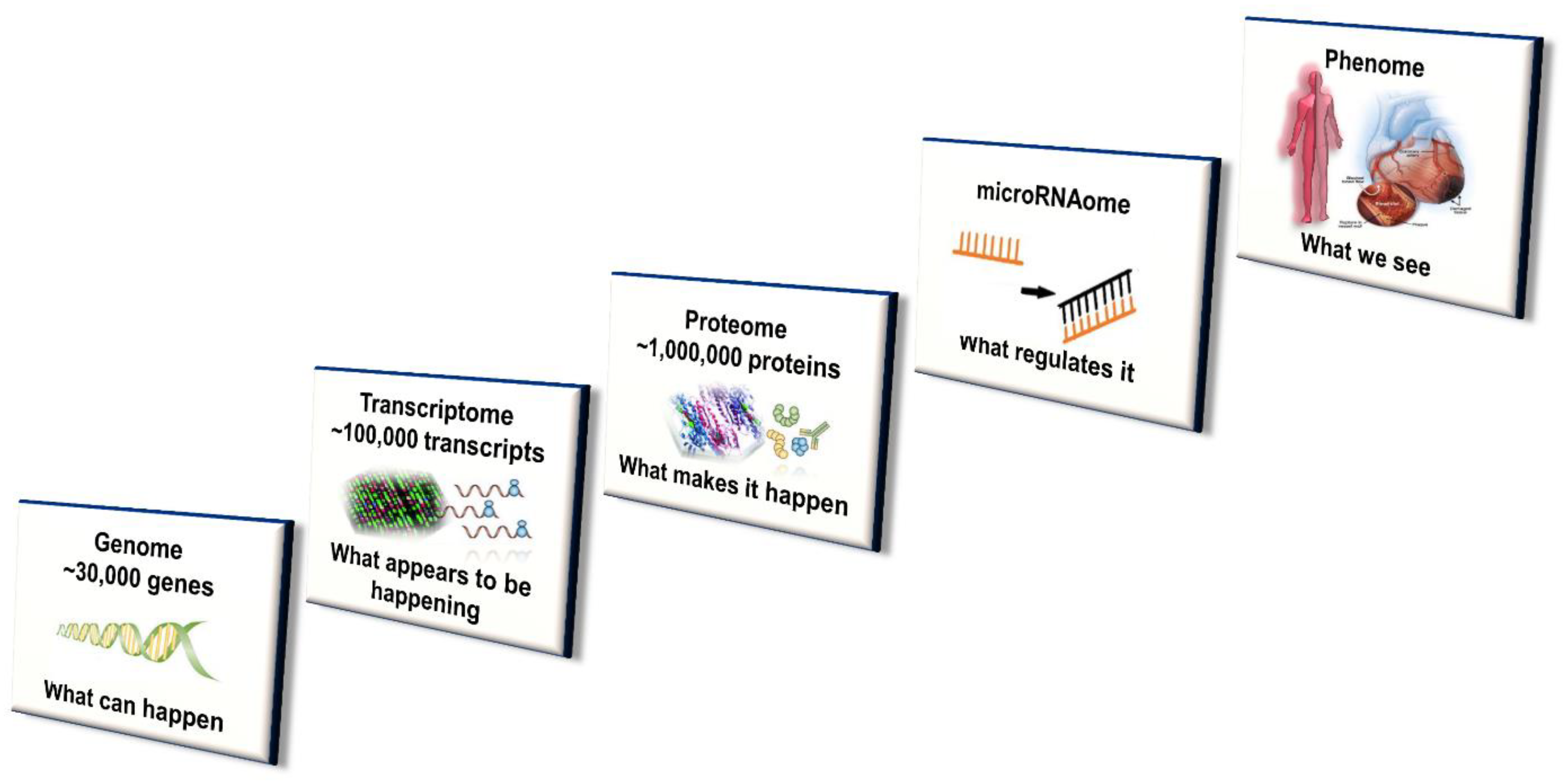 Ijms 21 00604 g002 Ijms 21 00604 g002