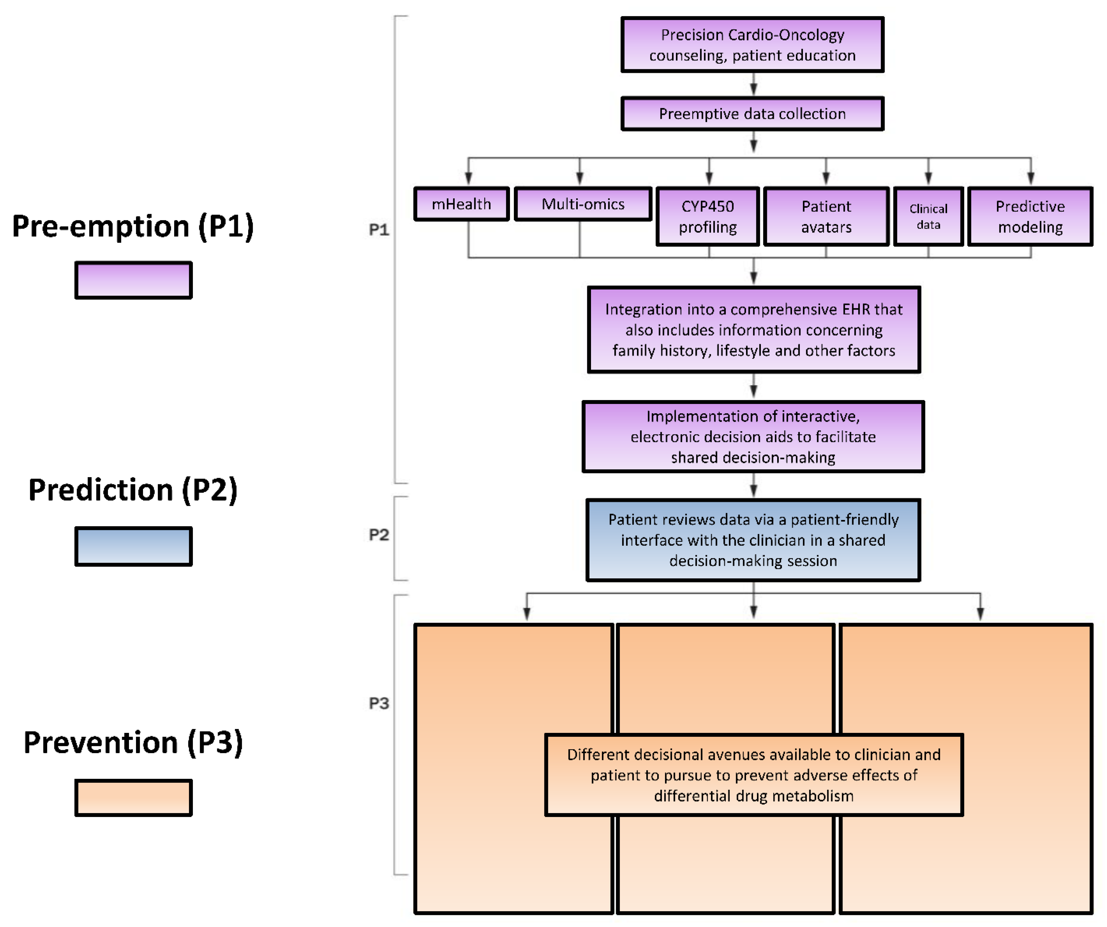 Ijms 21 00604 g003 Ijms 21 00604 g003