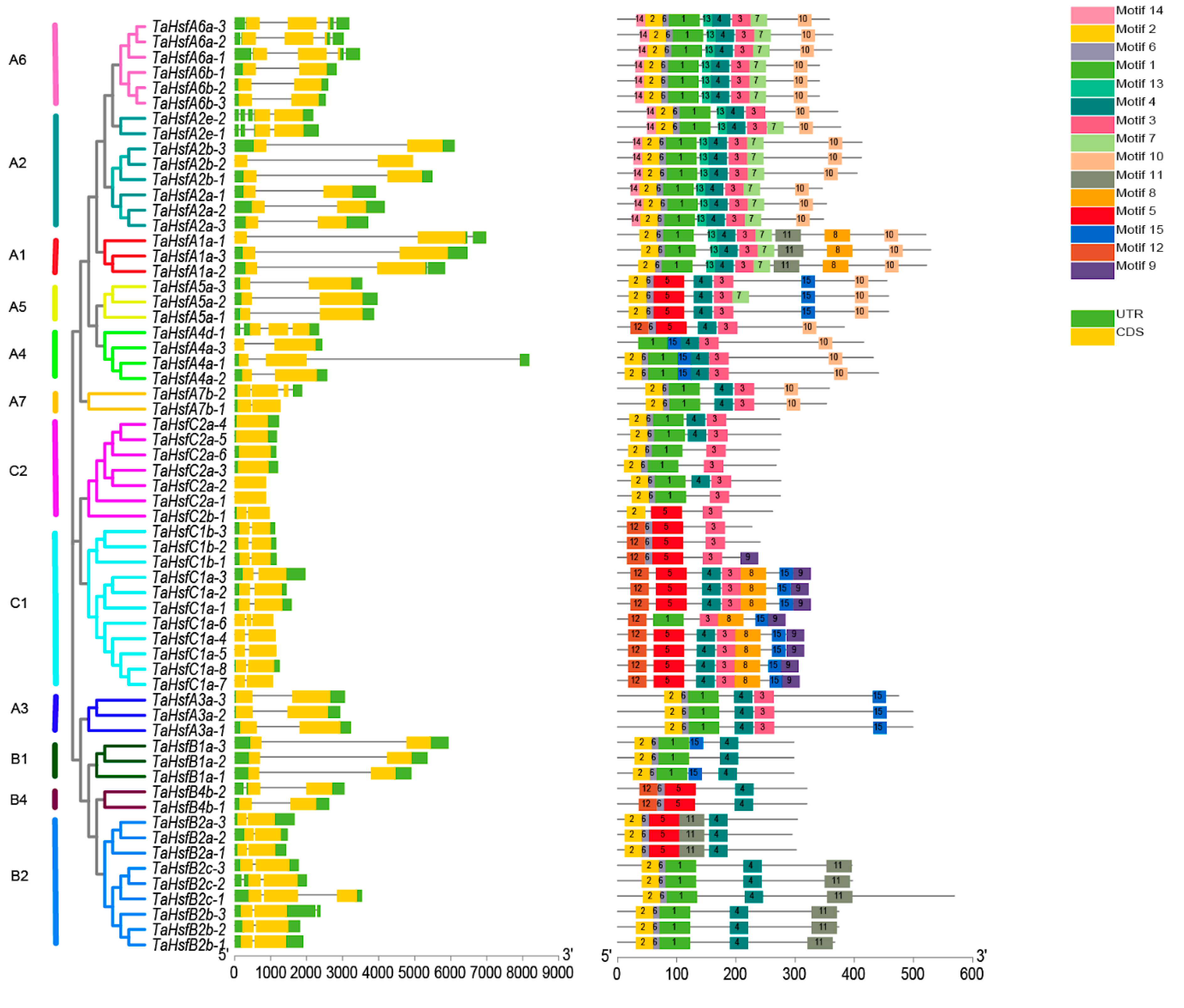 Ijms 21 00608 g005 Ijms 21 00608 g005