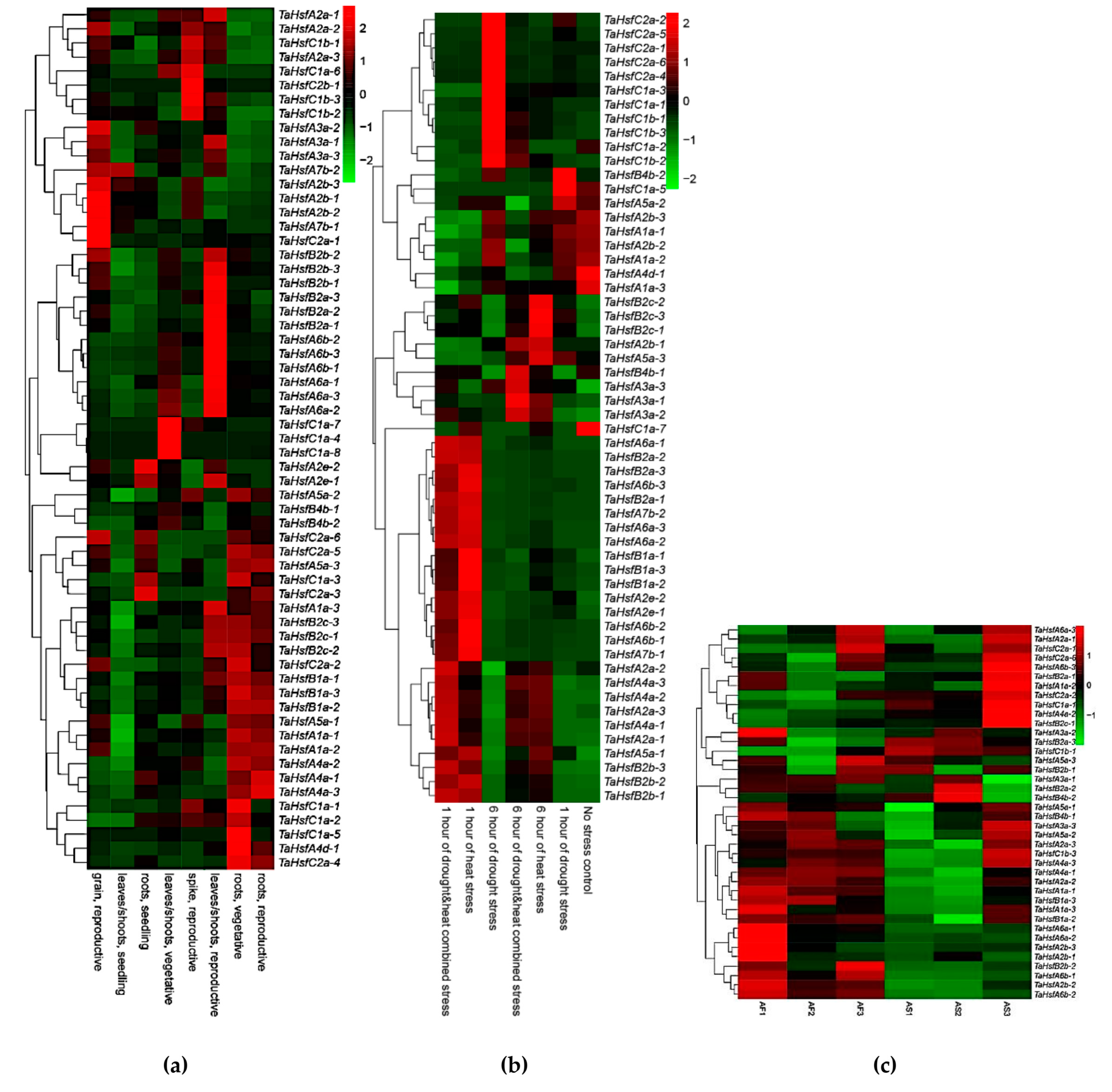 Ijms 21 00608 g007 Ijms 21 00608 g007