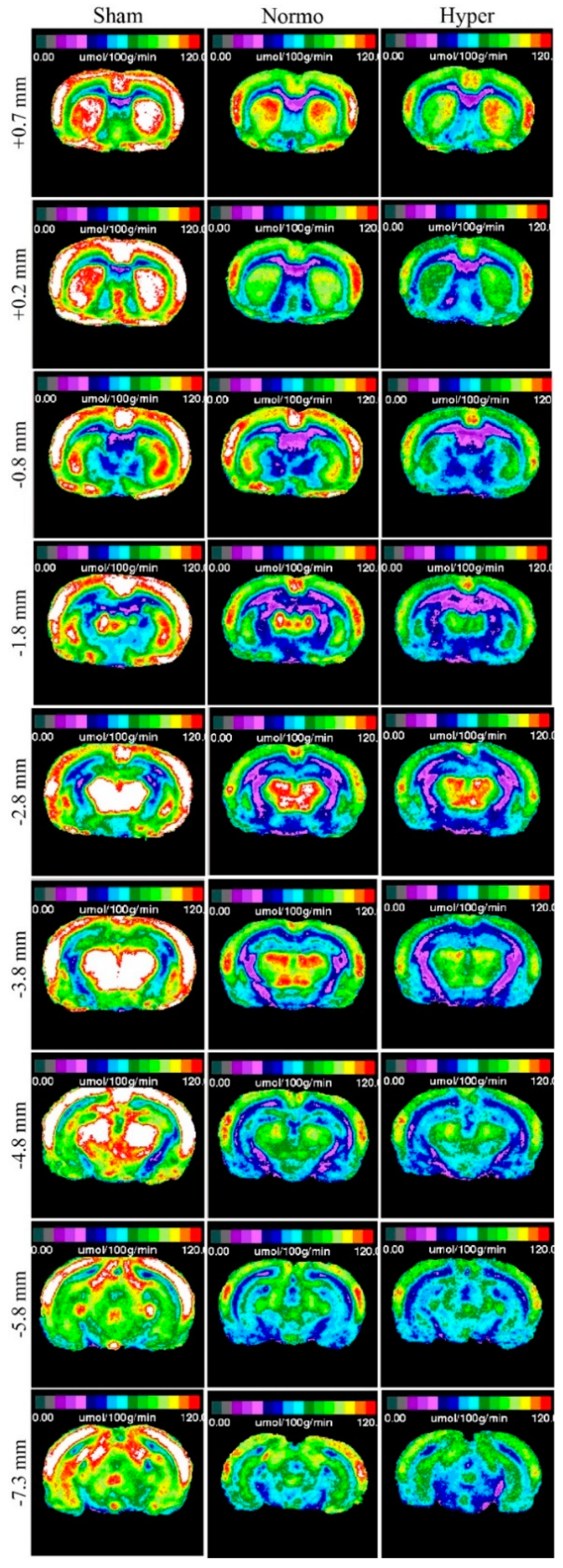 Ijms 21 00609 g001 Ijms 21 00609 g001