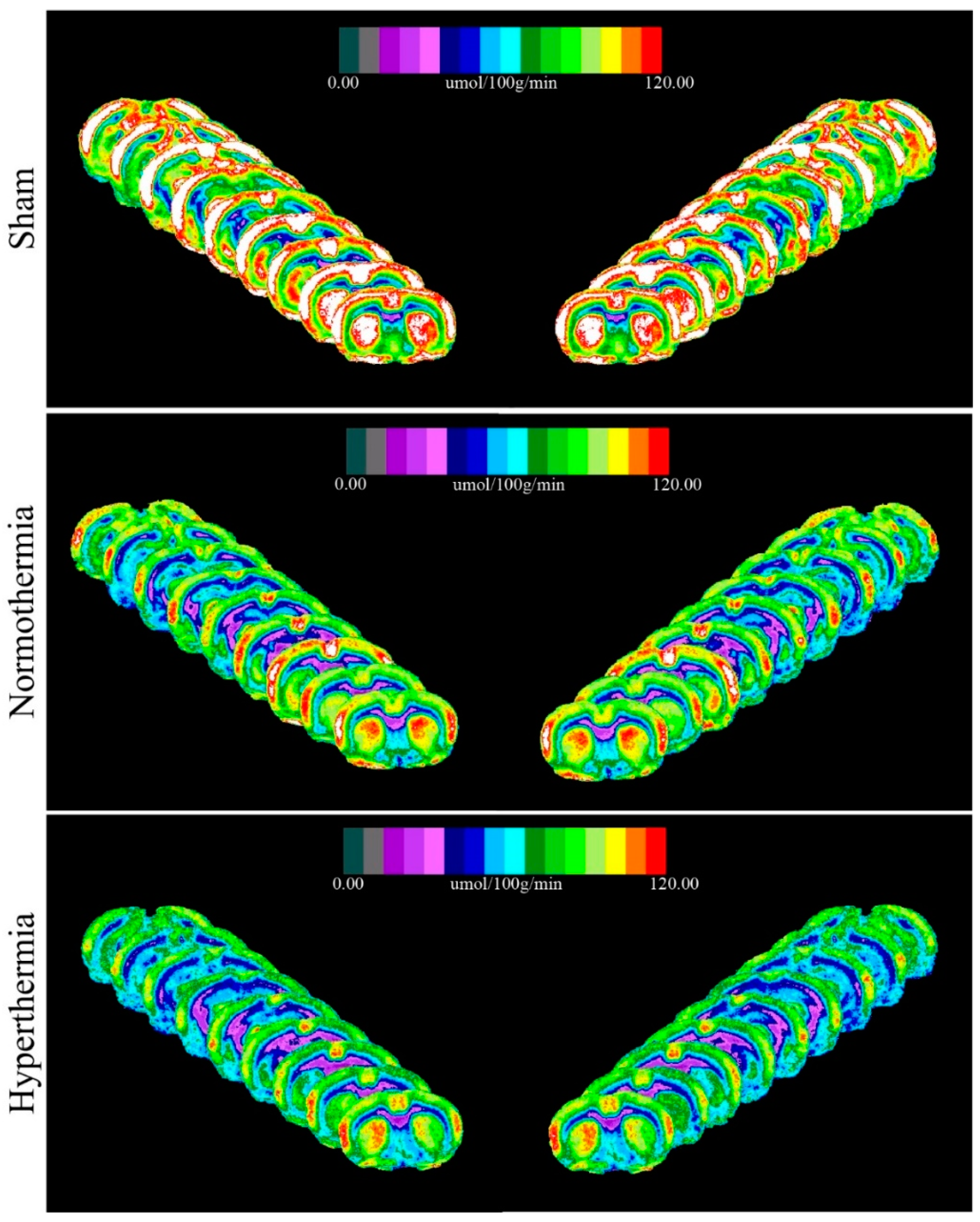 Ijms 21 00609 g002 Ijms 21 00609 g002
