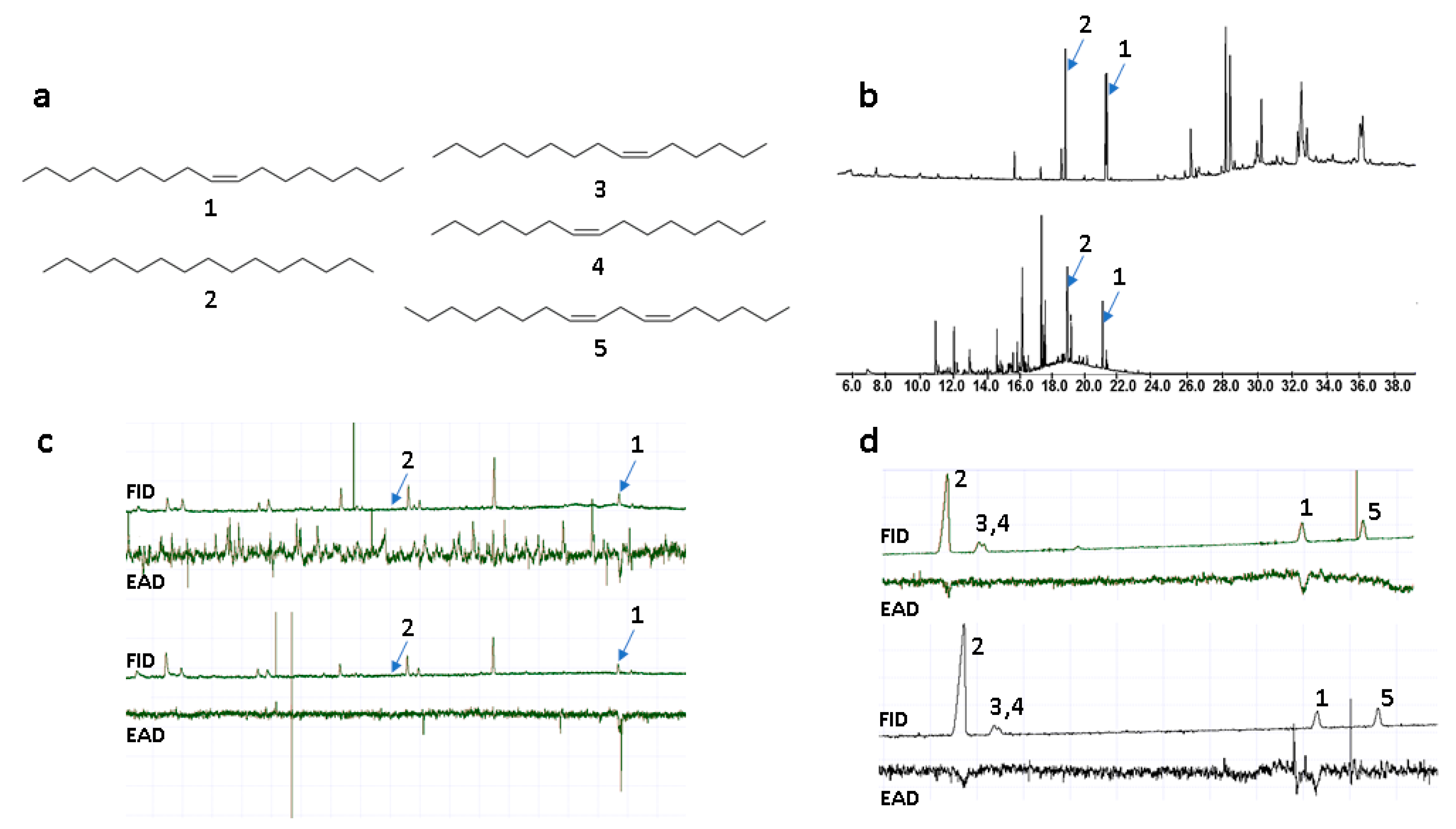 Ijms 21 00620 g001 Ijms 21 00620 g001