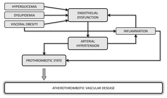 Ijms Free Full Text Influence Of Cardiometabolic Risk Factors On Platelet Function Html