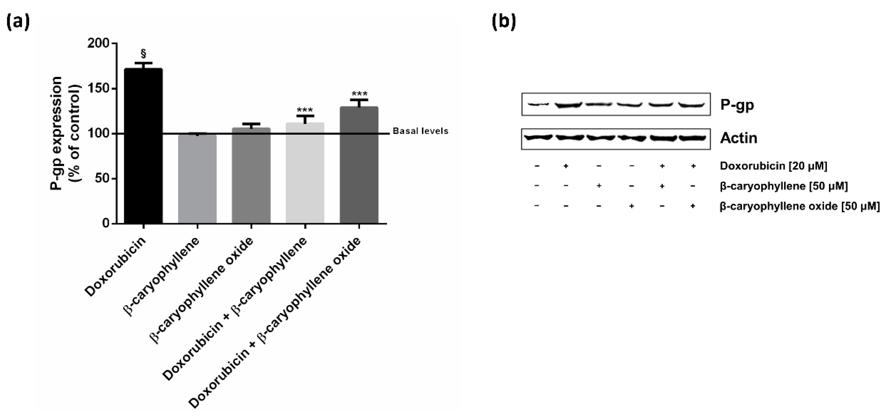 Ijms 21 00633 g006 Ijms 21 00633 g006