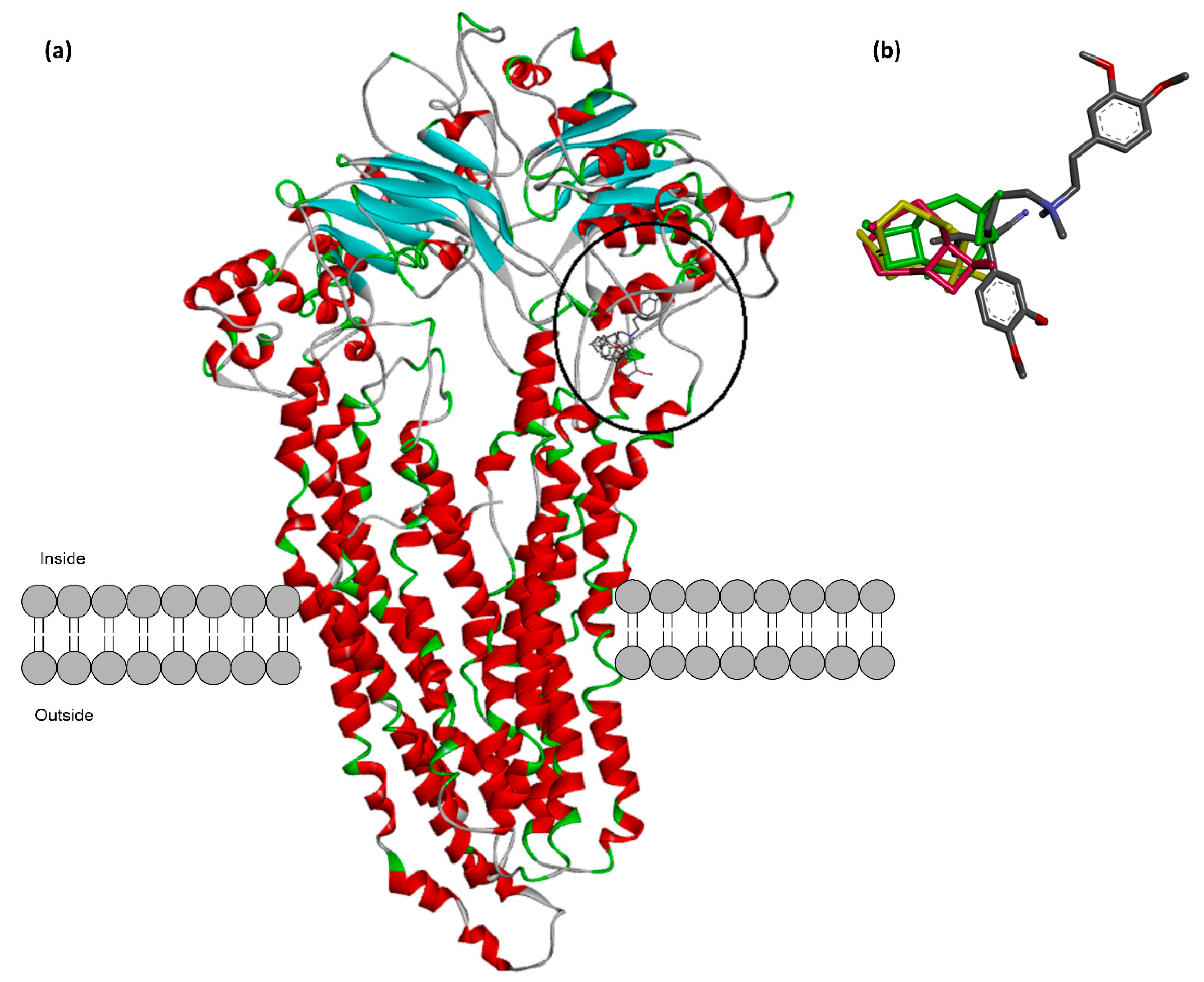 Ijms 21 00633 g008 Ijms 21 00633 g008