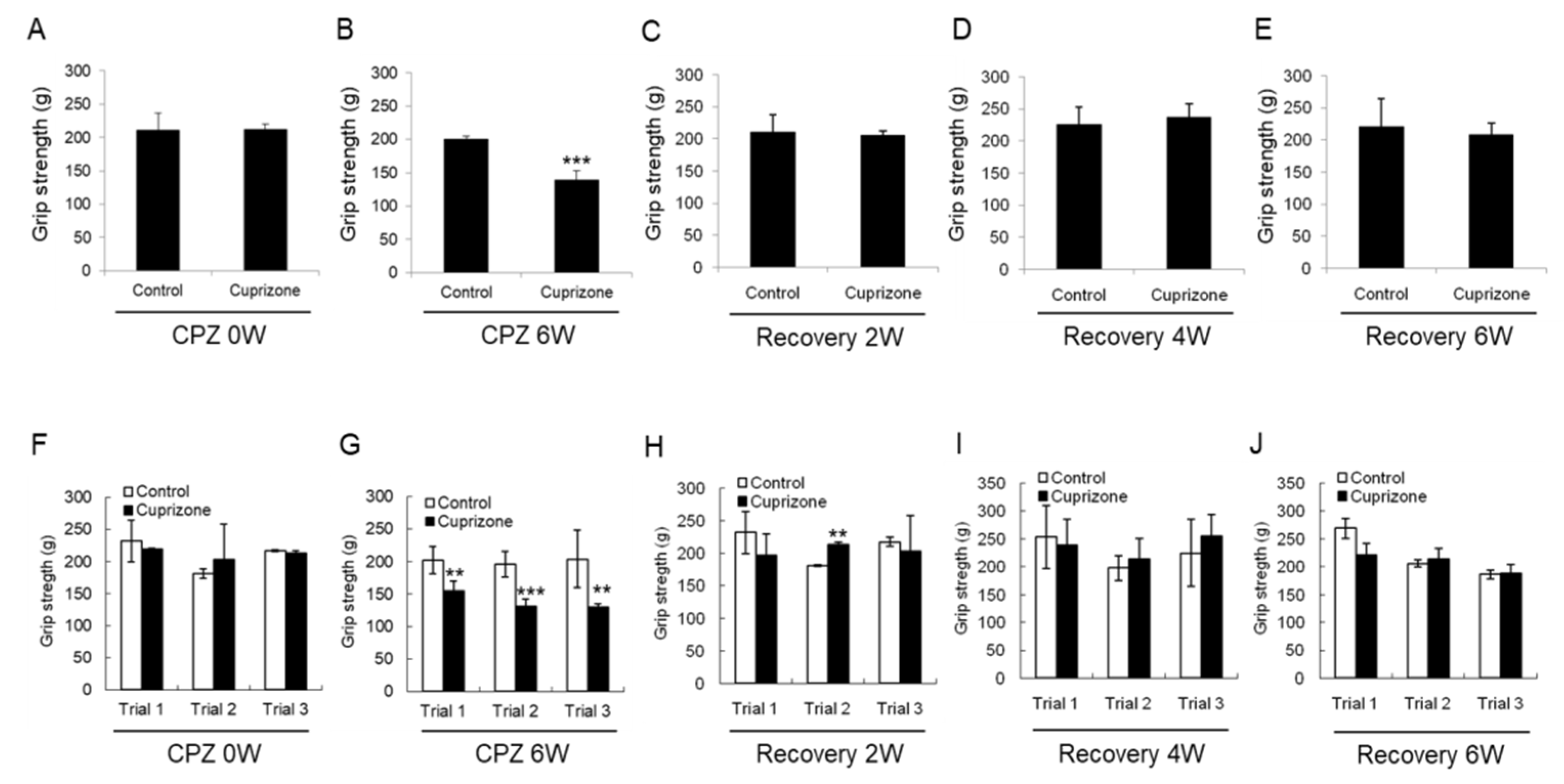 Ijms 21 00646 g003 Ijms 21 00646 g003