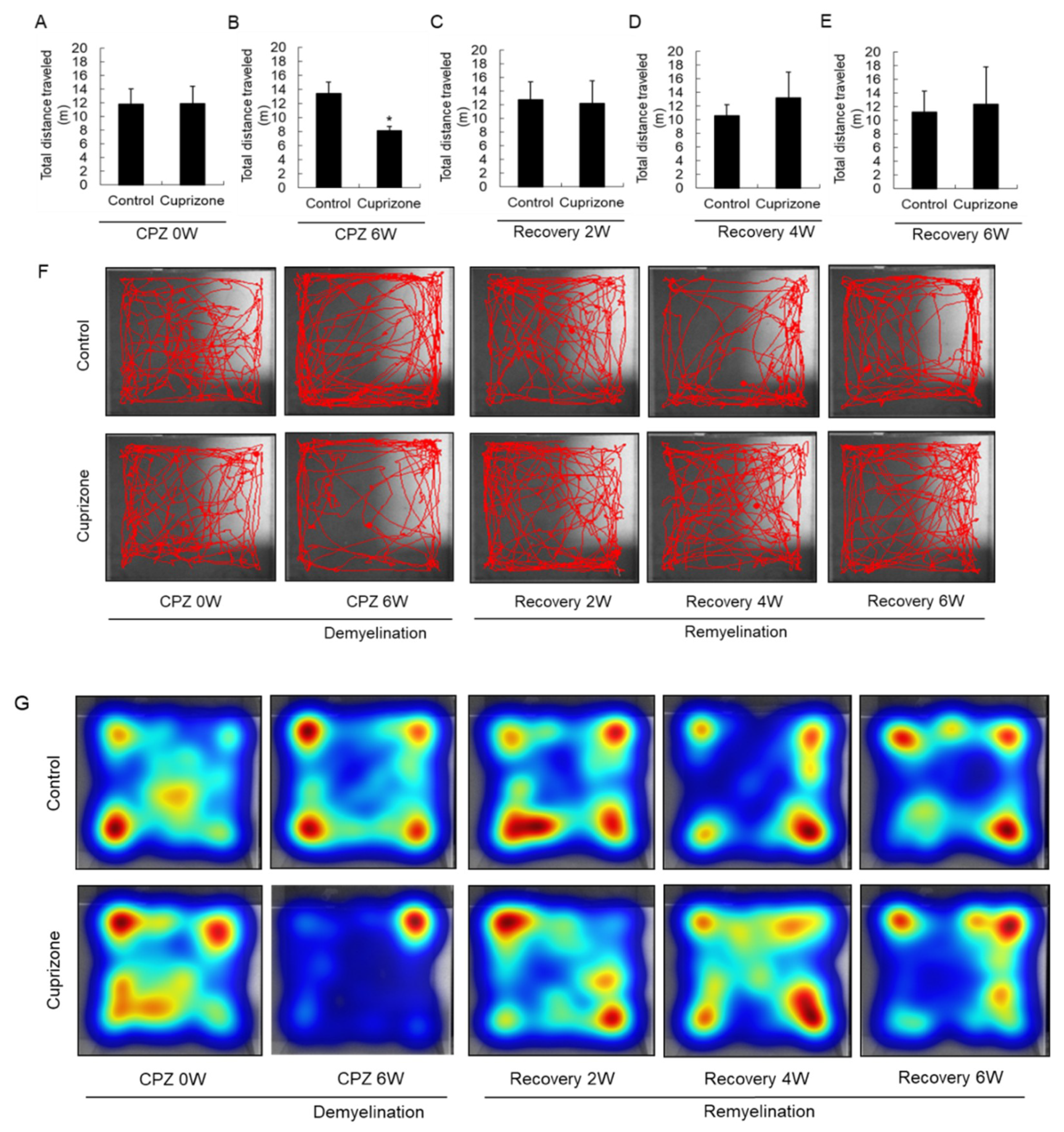 Ijms 21 00646 g004 Ijms 21 00646 g004