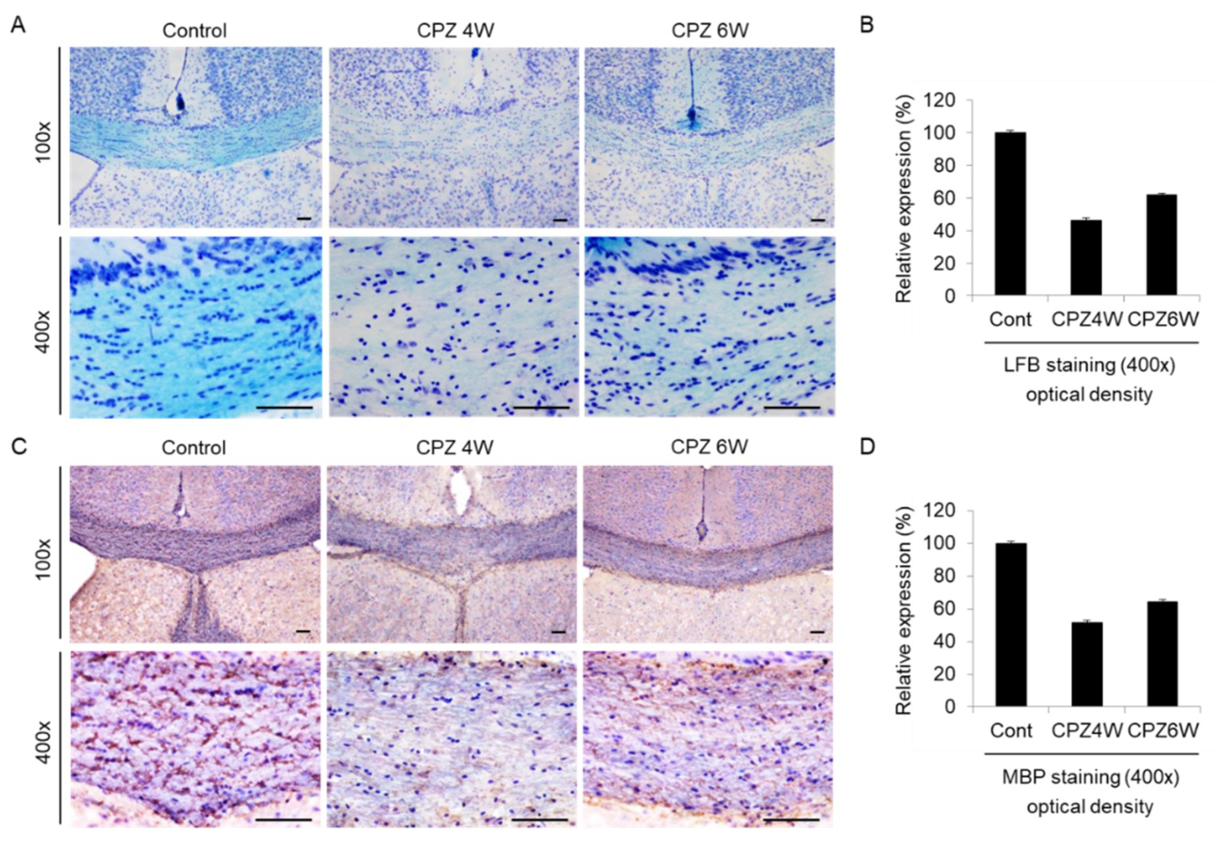 Ijms 21 00646 g005 Ijms 21 00646 g005