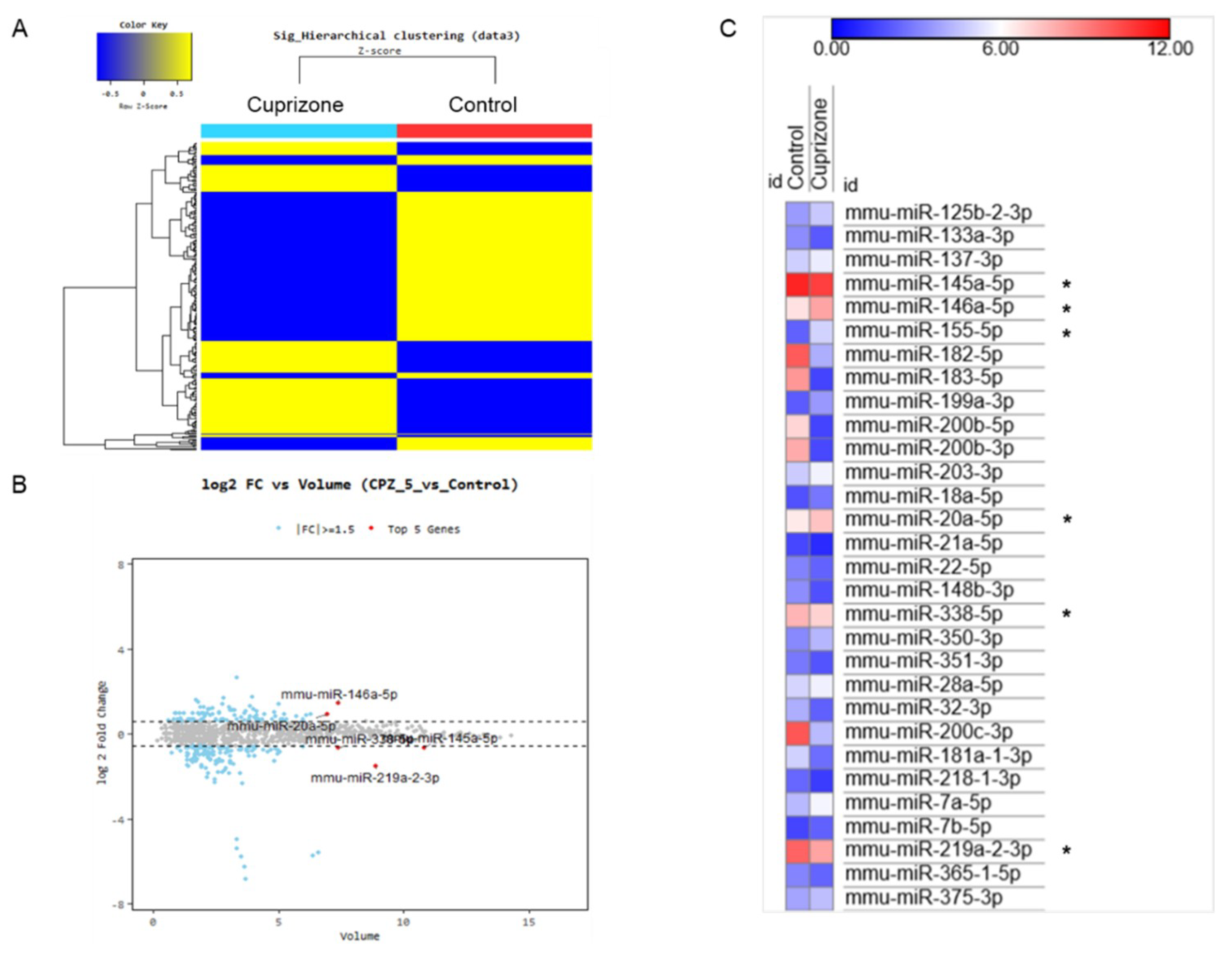 Ijms 21 00646 g006 Ijms 21 00646 g006