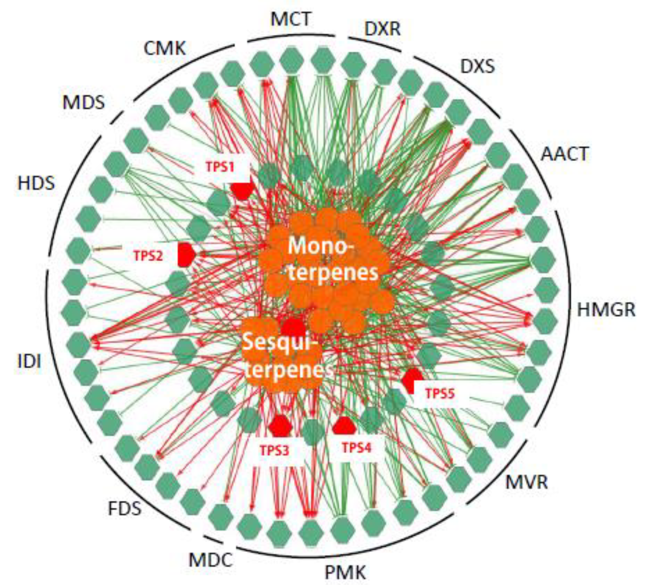Ijms 21 00655 g004 Ijms 21 00655 g004