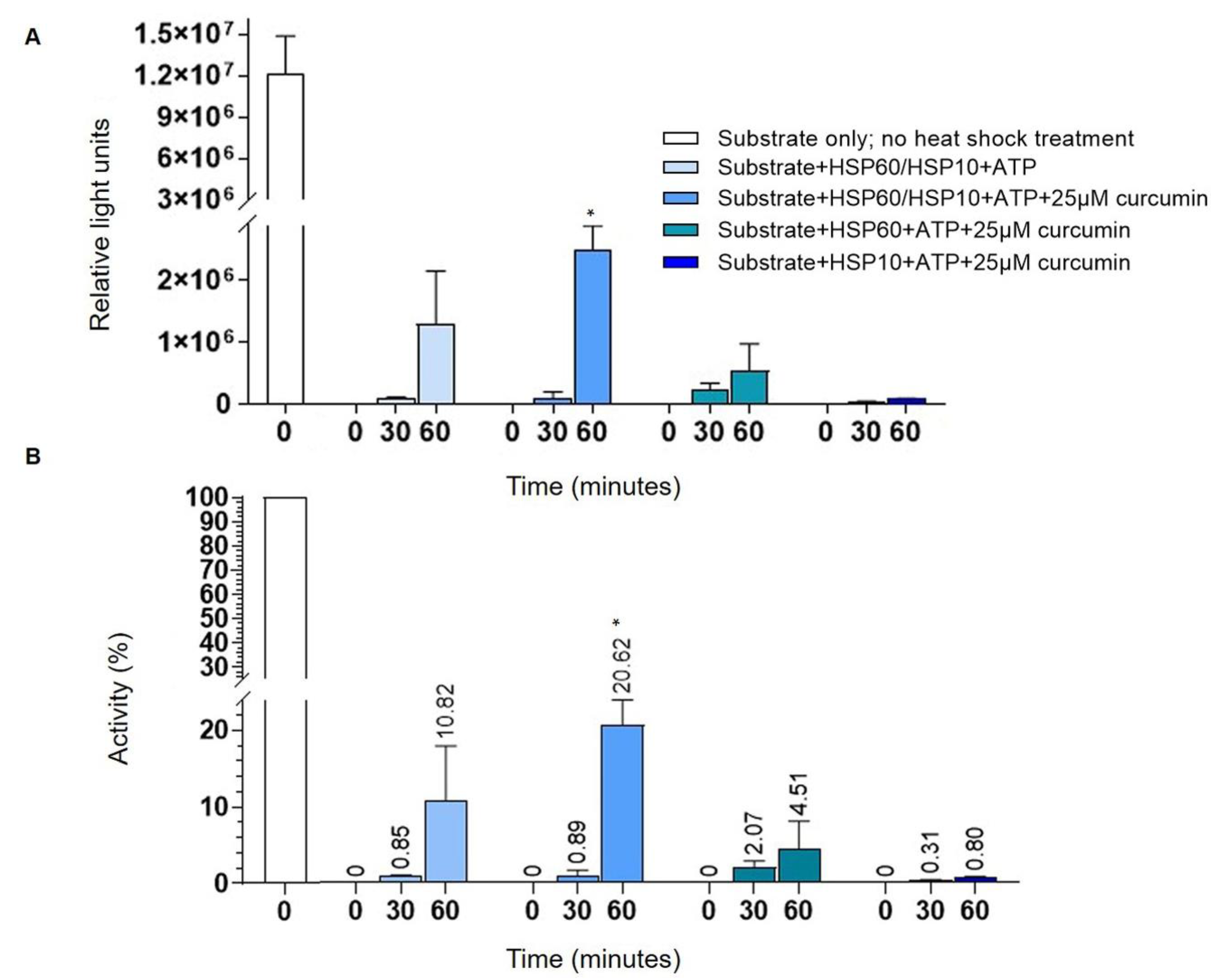 Ijms 21 00661 g004 Ijms 21 00661 g004