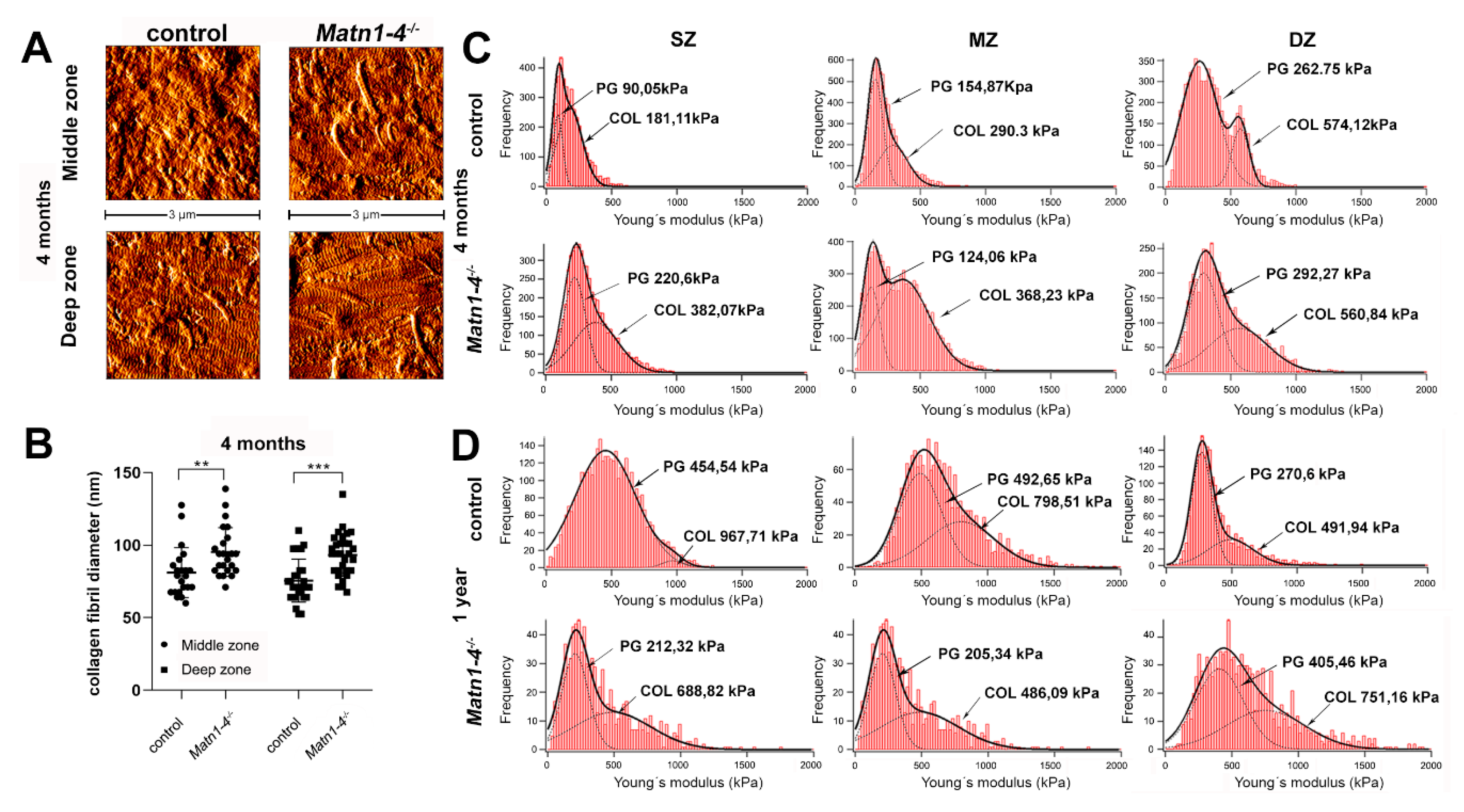 Ijms 21 00666 g008 Ijms 21 00666 g008