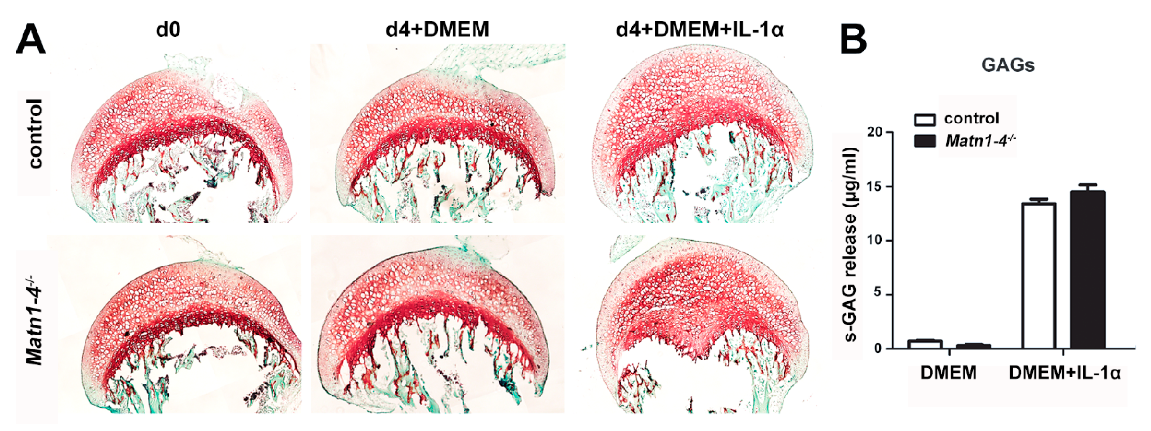 Ijms 21 00666 g009 Ijms 21 00666 g009