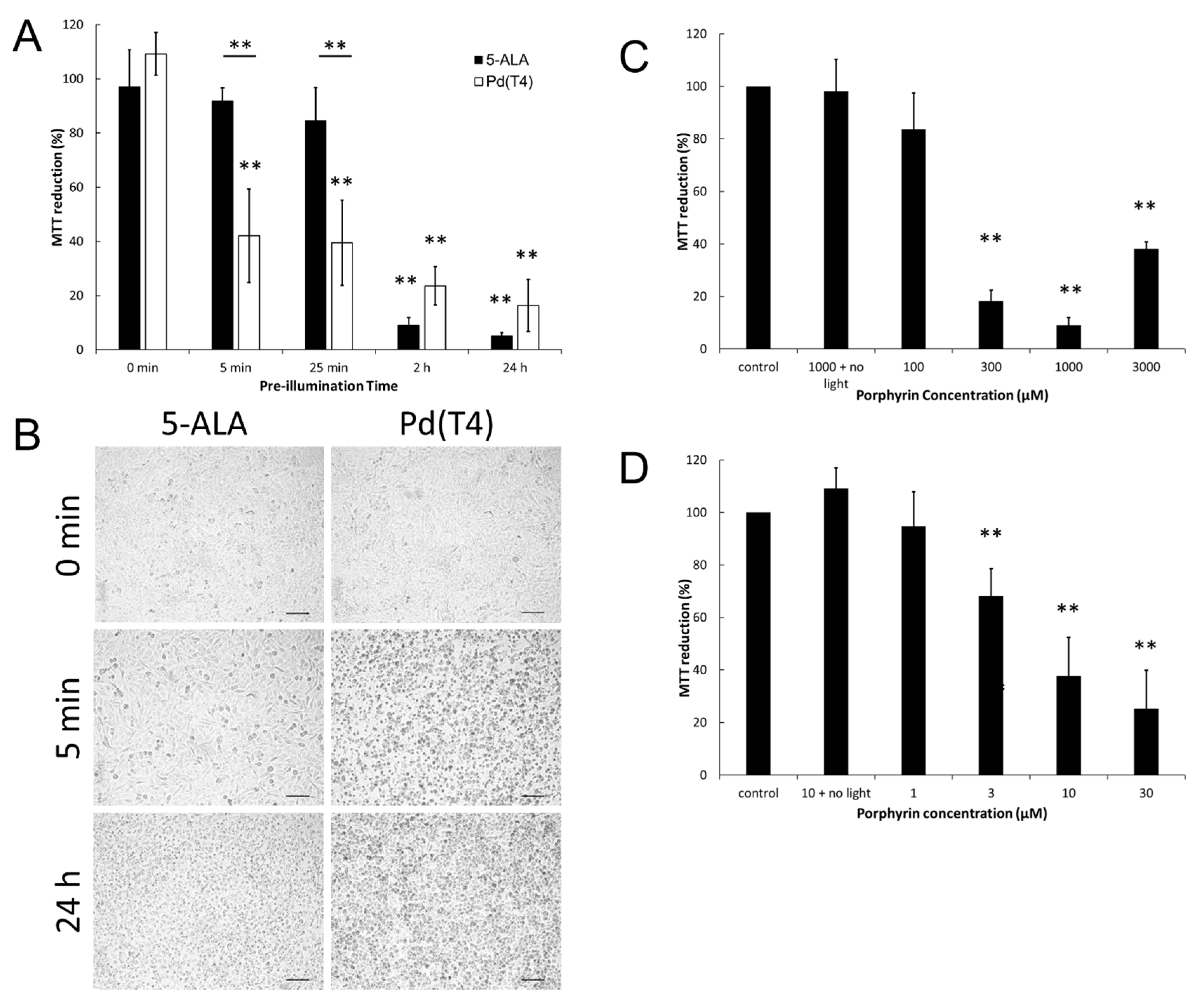 Ijms 21 00669 g002 Ijms 21 00669 g002