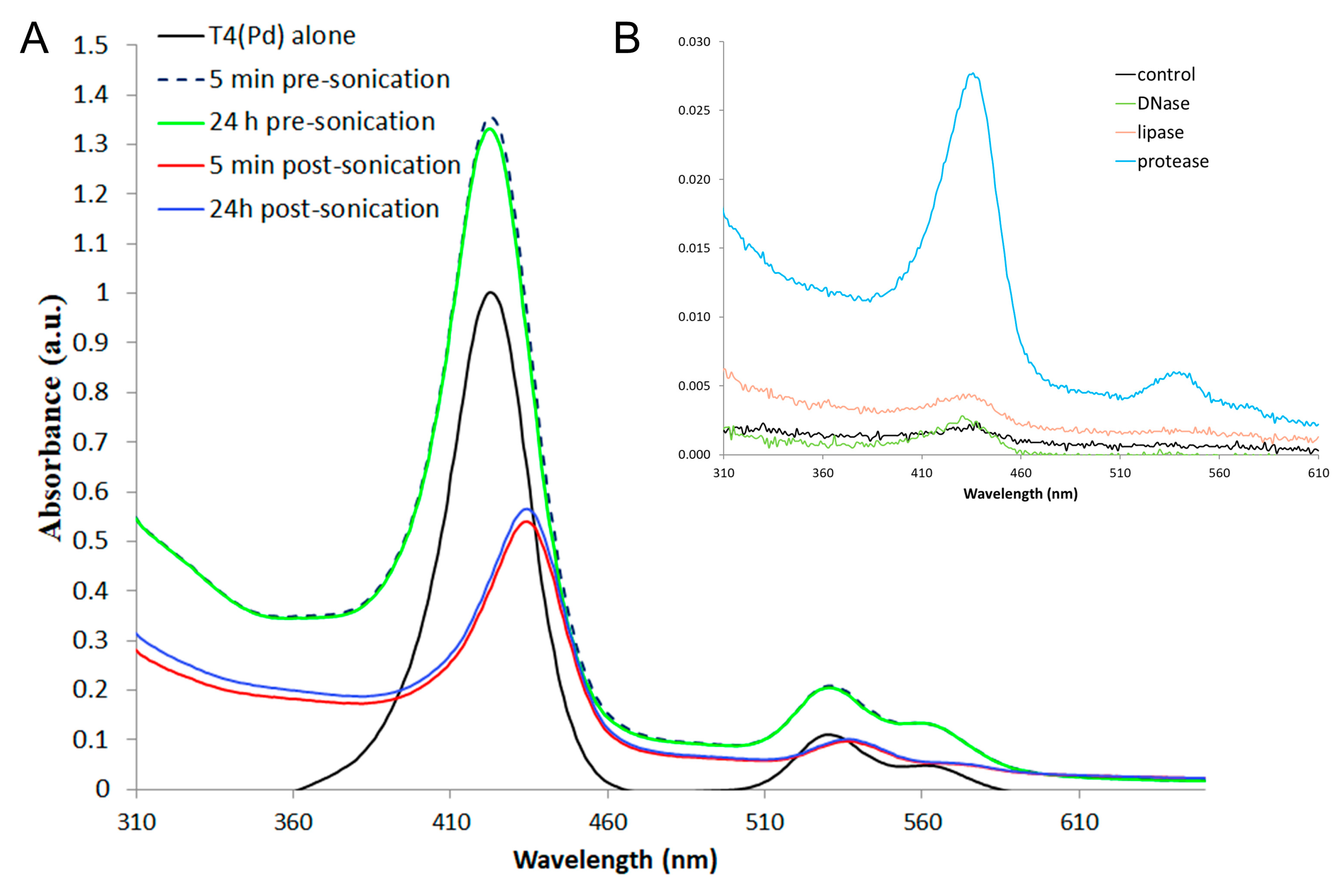 Ijms 21 00669 g006 Ijms 21 00669 g006
