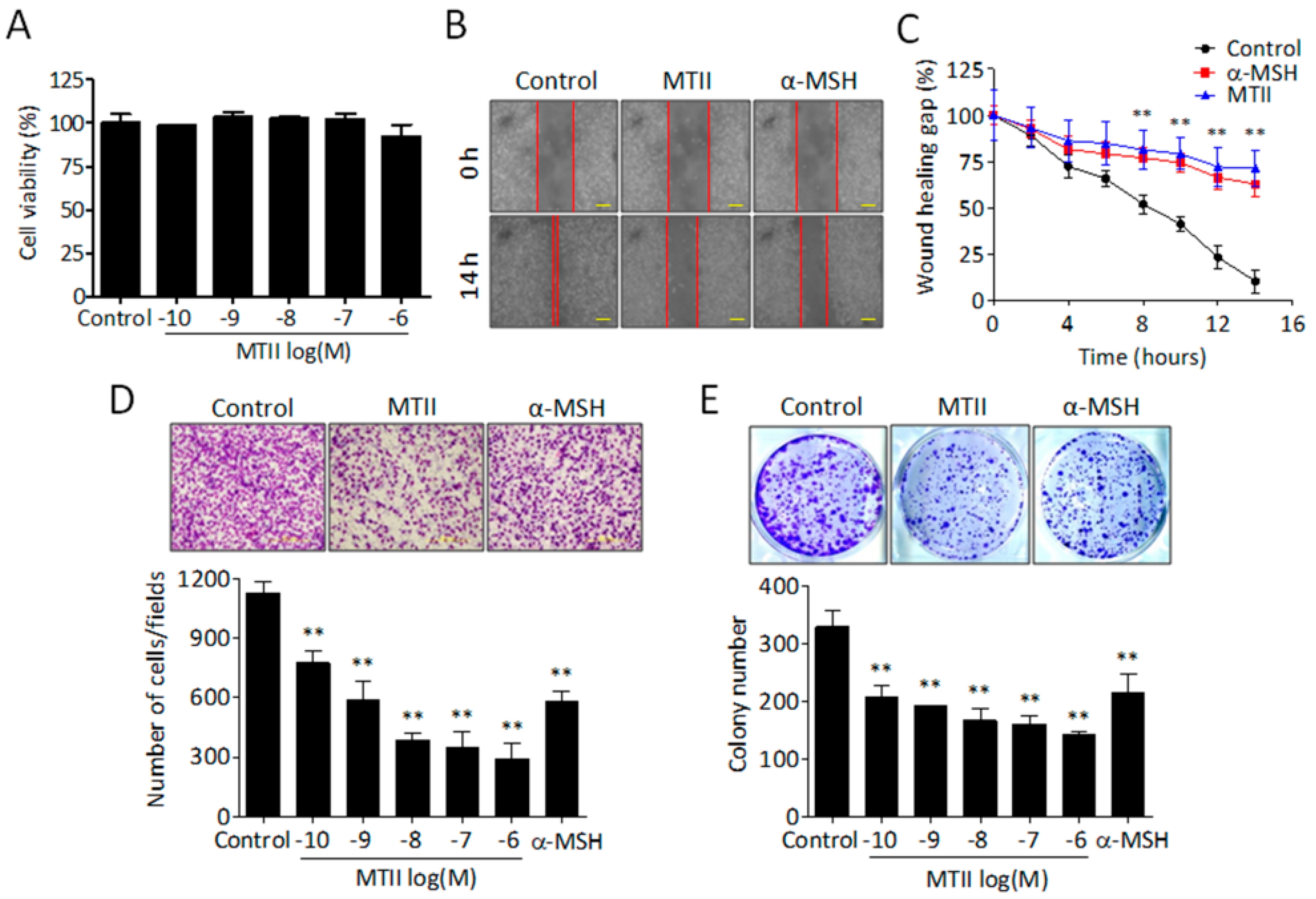 Ijms 21 00681 g001 Ijms 21 00681 g001