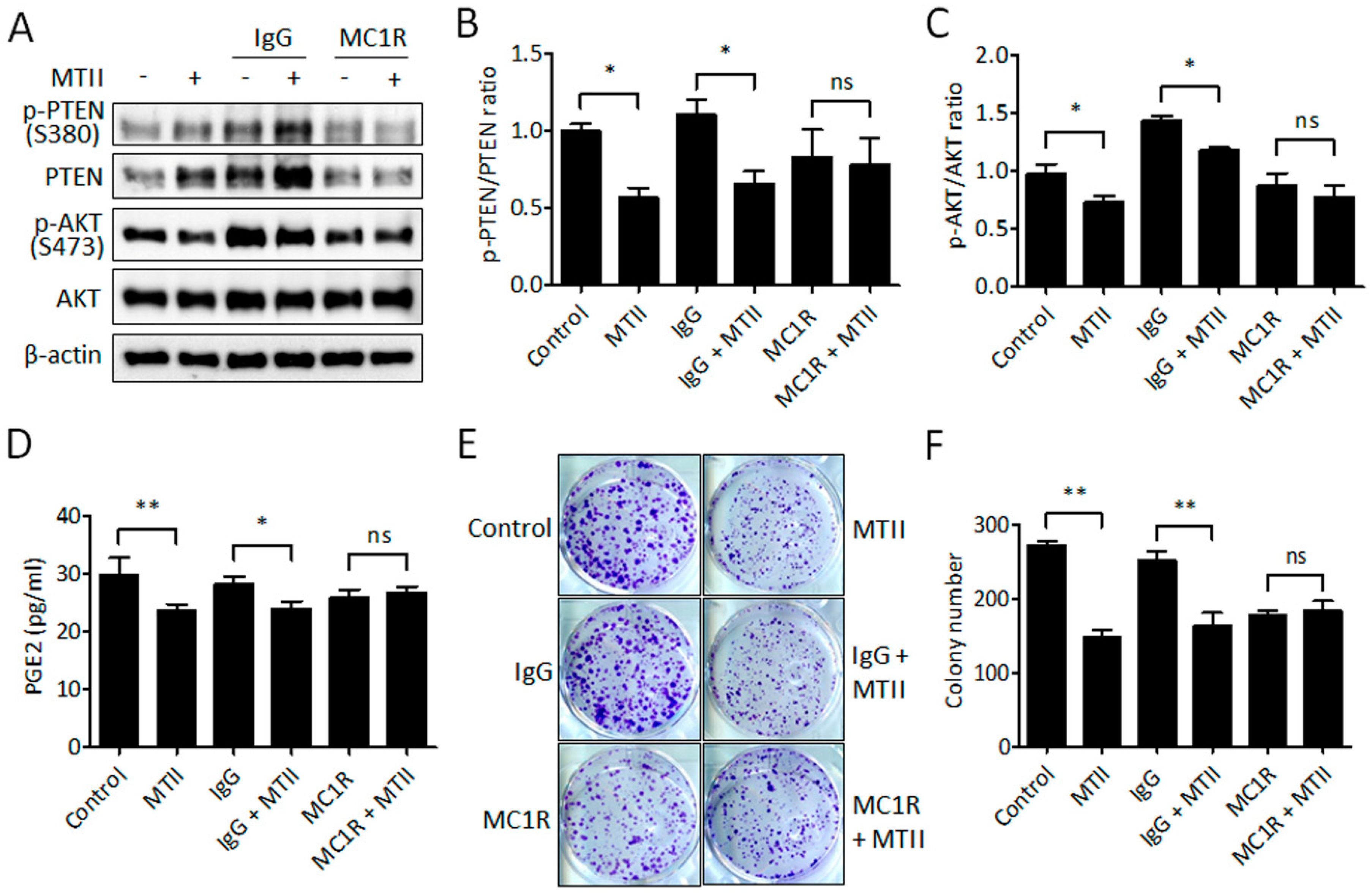 Ijms 21 00681 g005 Ijms 21 00681 g005