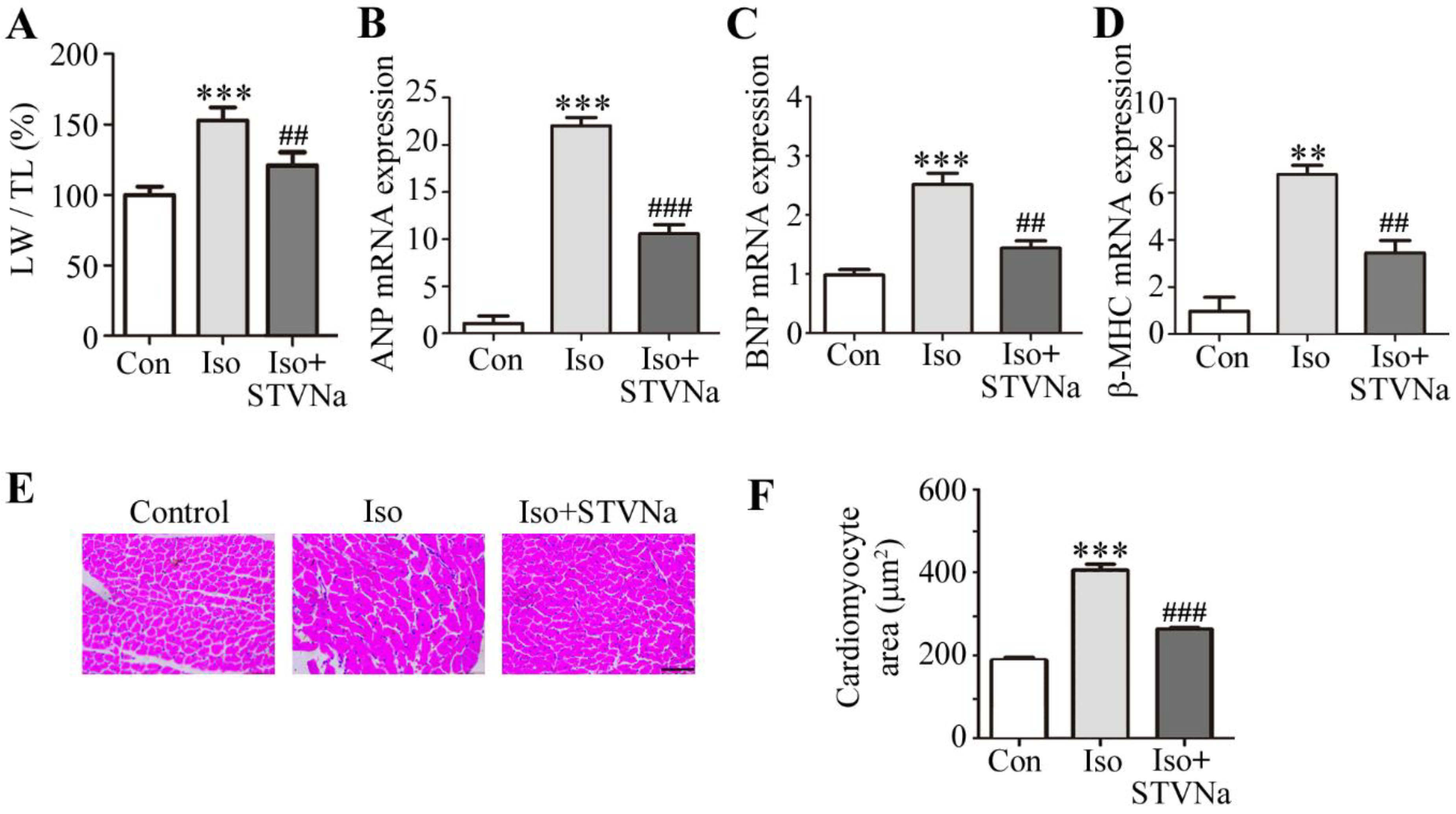 Ijms 21 00682 g001 Ijms 21 00682 g001