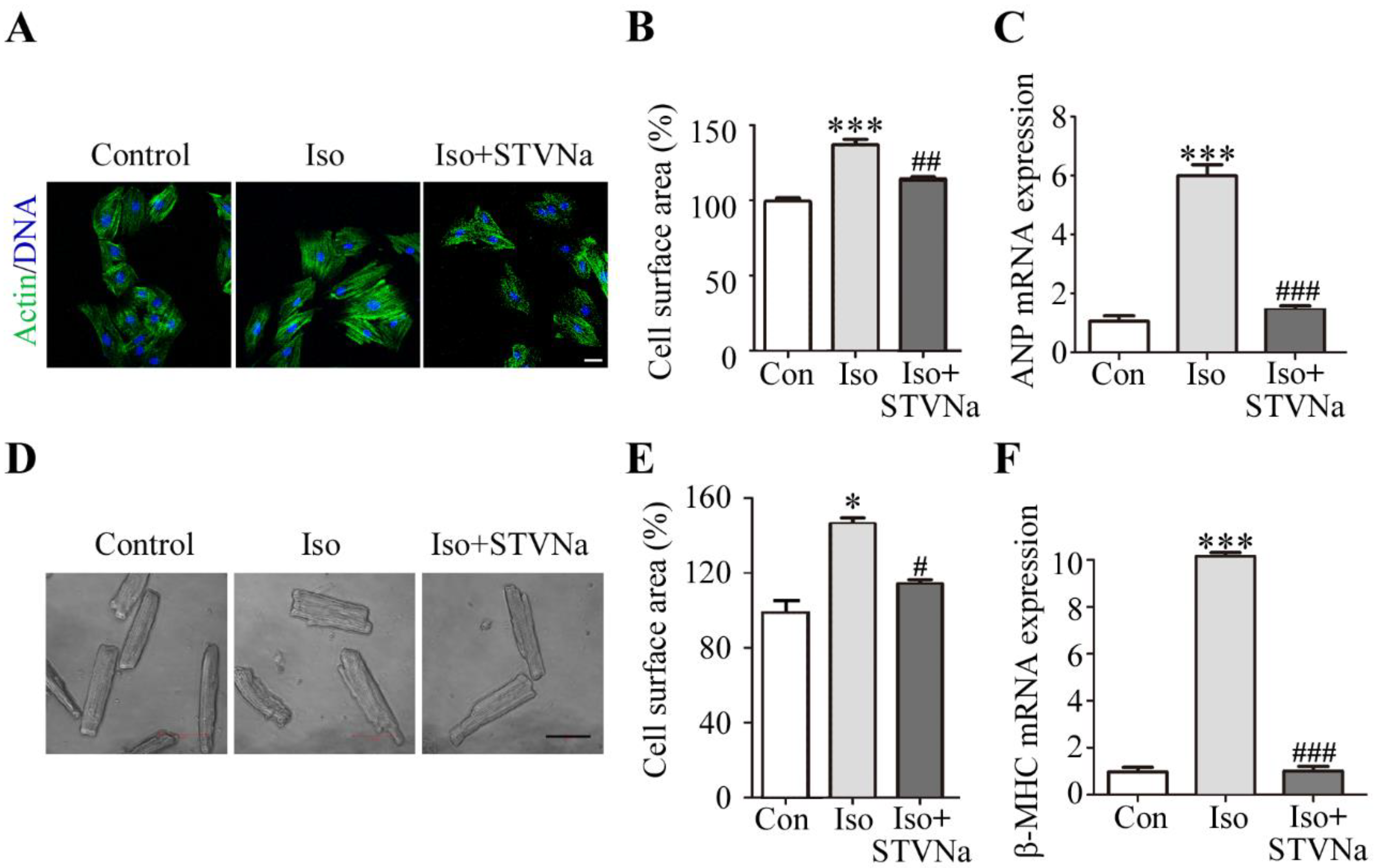 Ijms 21 00682 g002 Ijms 21 00682 g002