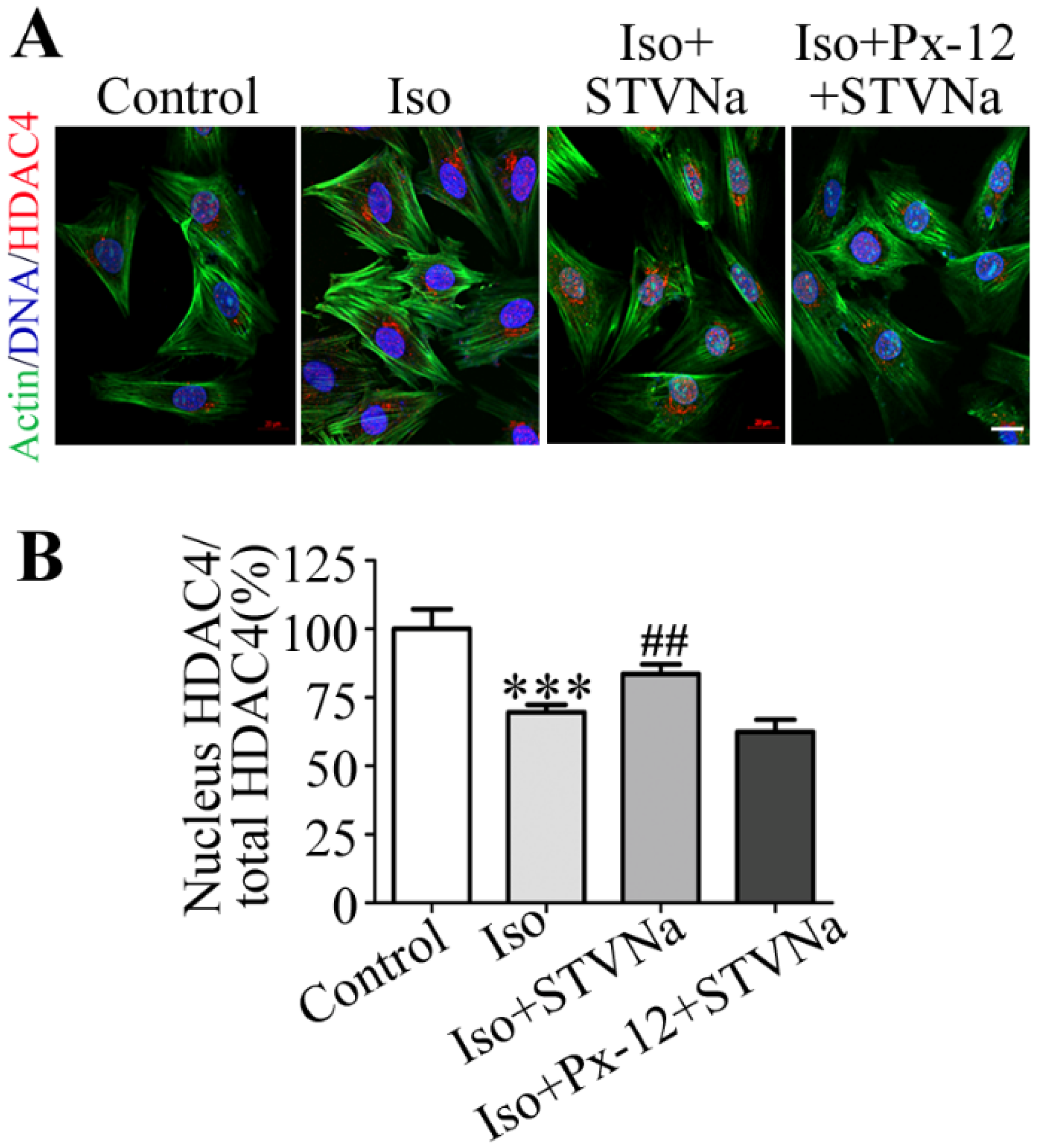Ijms 21 00682 g005 Ijms 21 00682 g005