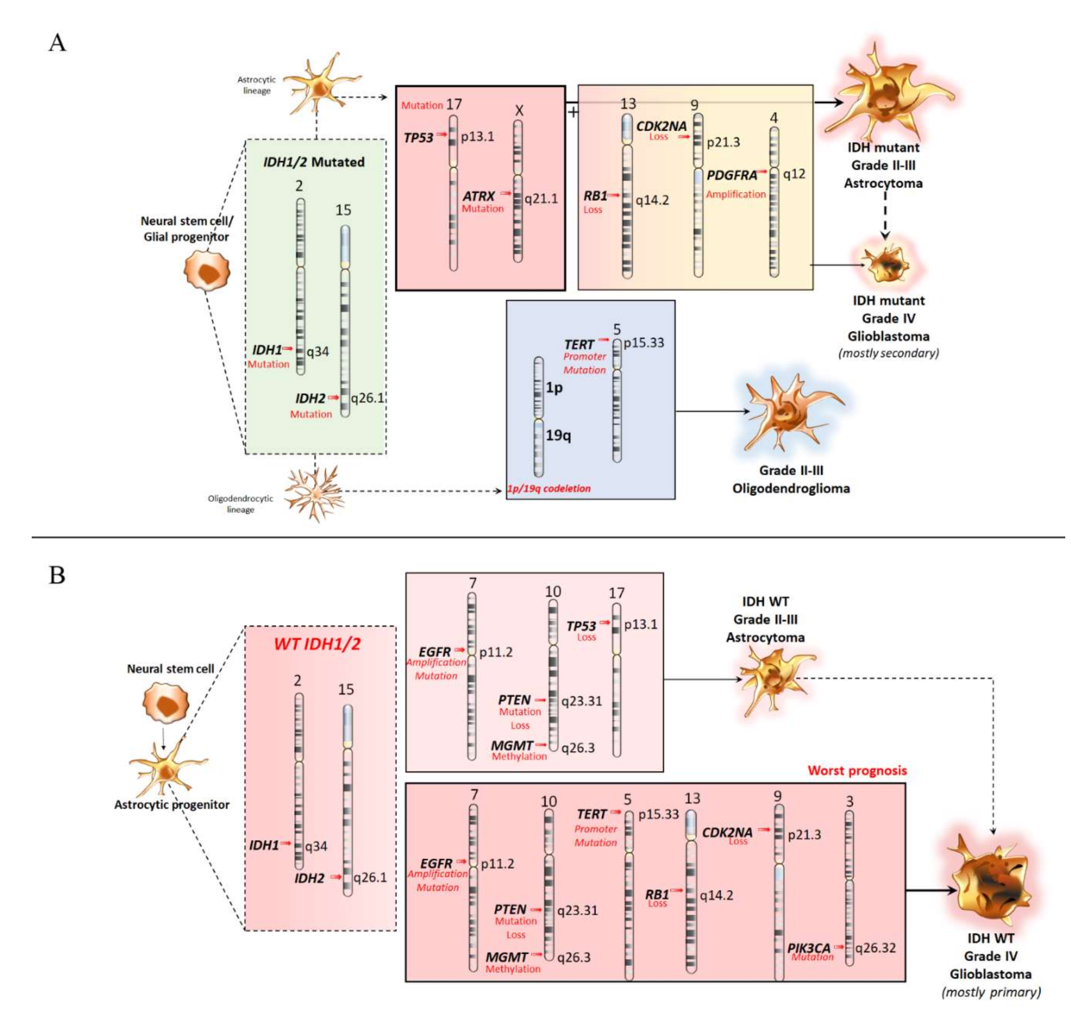 Ijms 21 00685 g002 Ijms 21 00685 g002